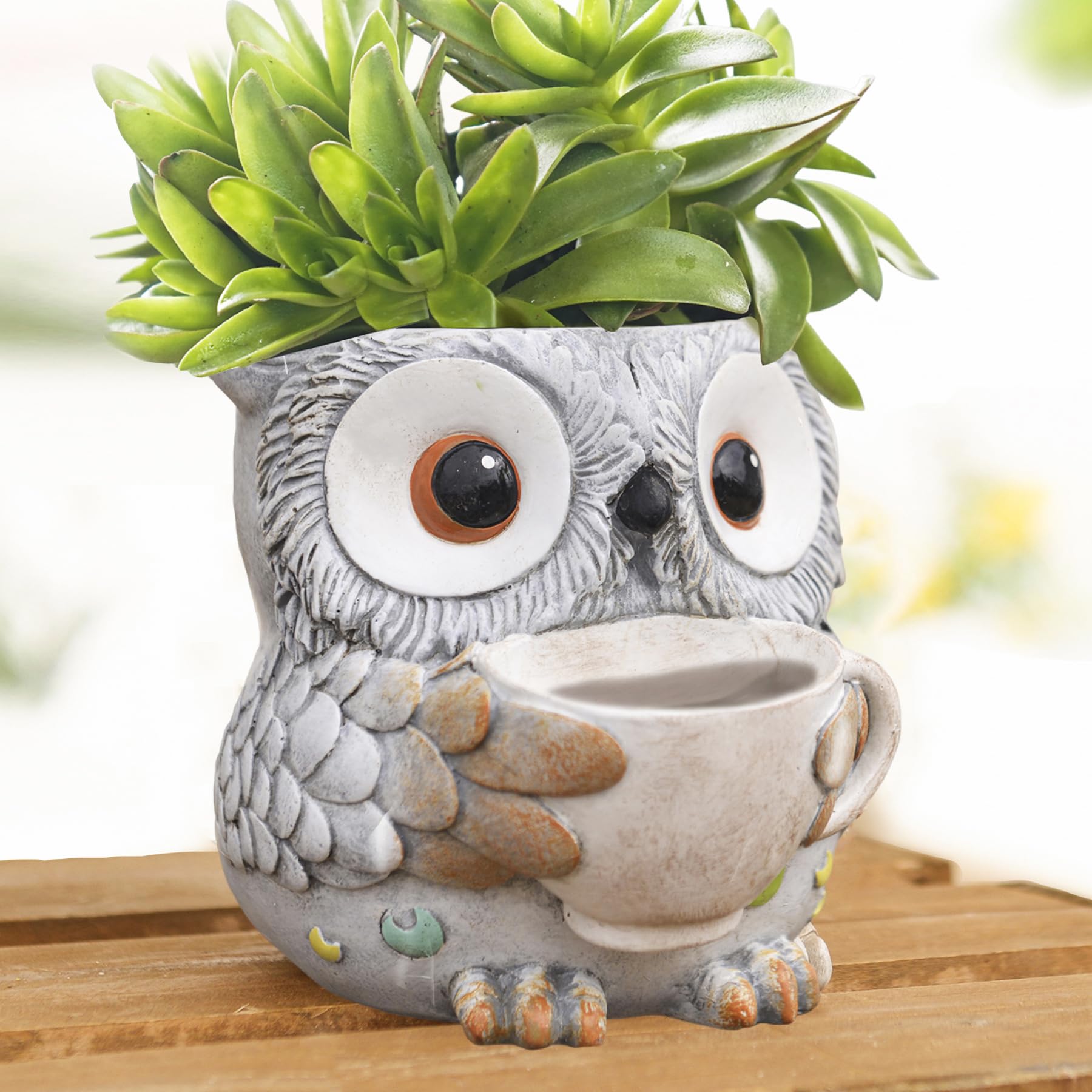 Amazon.co.jp: Saysmile ユニーク フクロウ 植木鉢 屋内 かわいい 小型