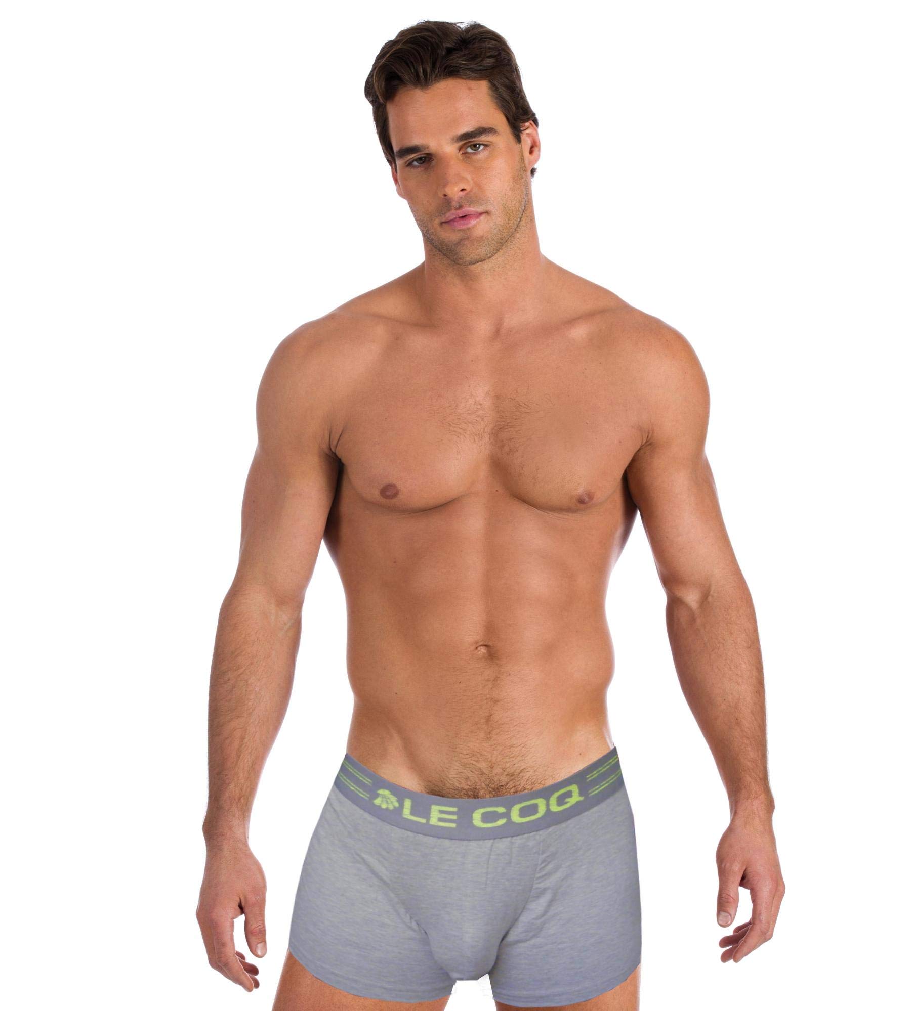 Le Coq Grey Boxer For Men