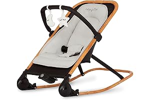 Dream on Me Rock With Me 2-in-1 Infant Bouncy Seat