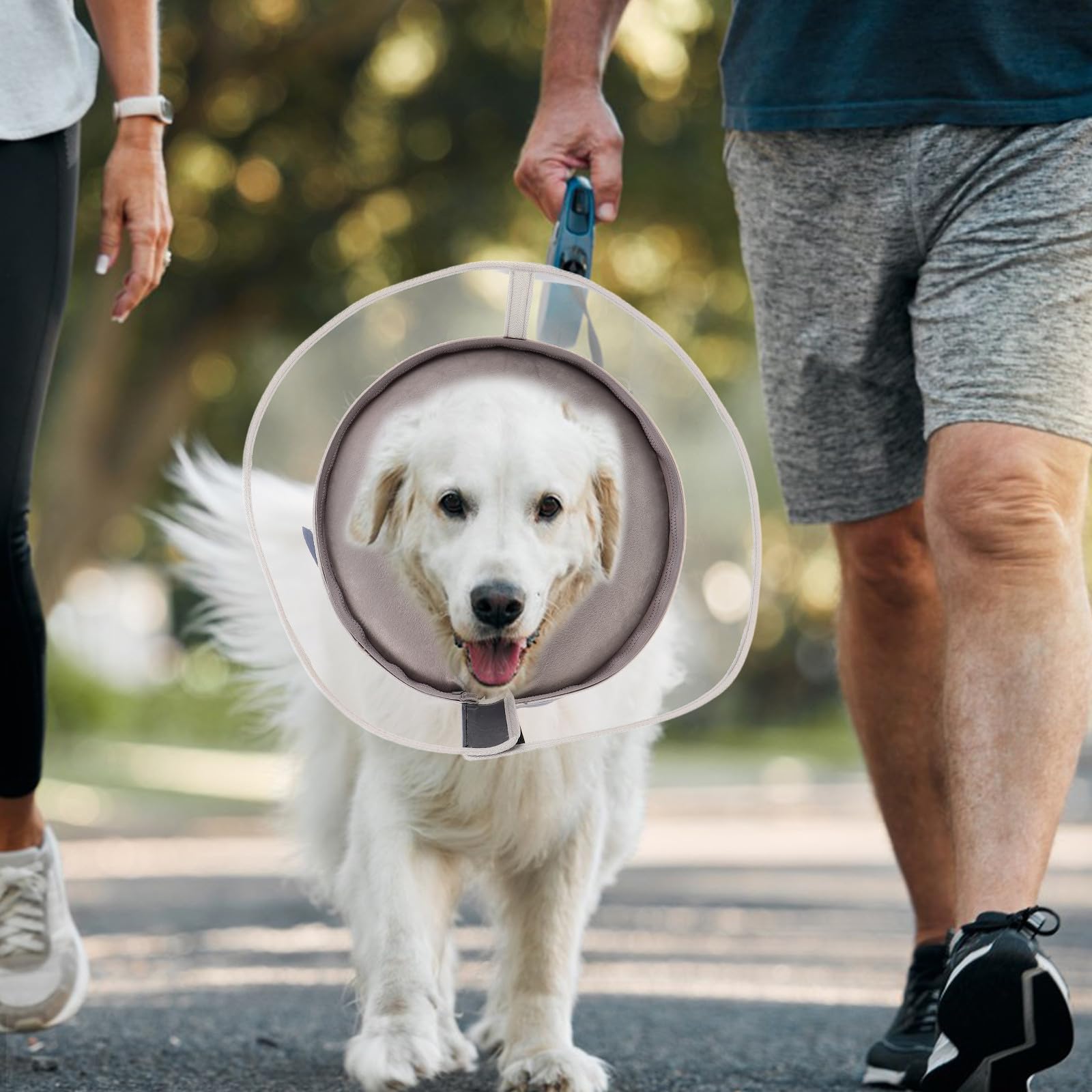 INOOMP Collare Gonfiabile Protettivo per Animali Domestici in Pvc Leggero Protezione Ferite Regolabile per Cuccioli Recupero Postoperatorio