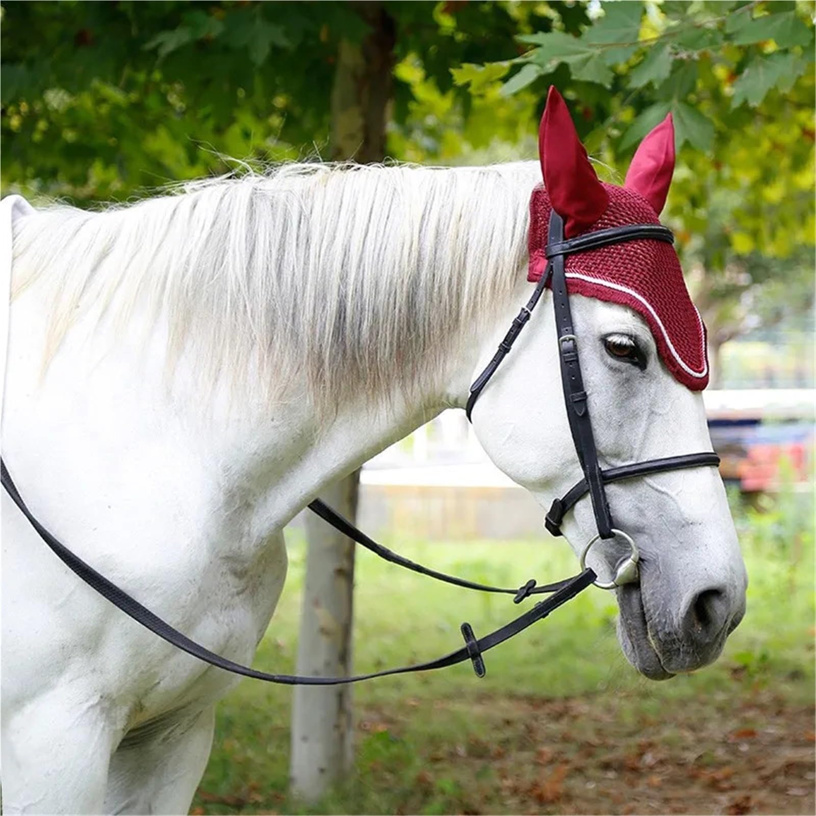 Equipaggiamento equestre Briglia for Cavallo da Equitazione Capezza for Cavallo Collare e redini for Testa di Cavallo Briglia Marrone Nera per Cavalli(Brown-L)
