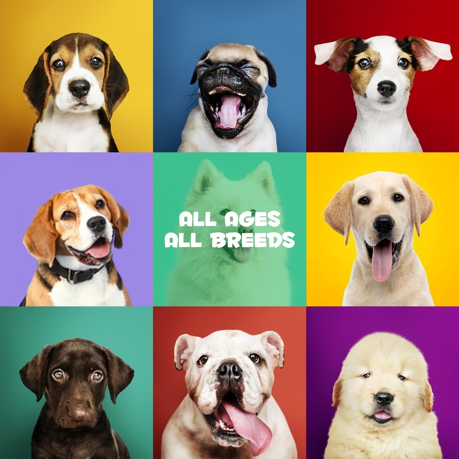 Probióticos para perros, probióticos para perros, enzimas digestivas, salud intestinal, picor cutáneo, alergias, diarrea, equilibrio de levaduras, sistema inmunológico y soportes para la salud, 120