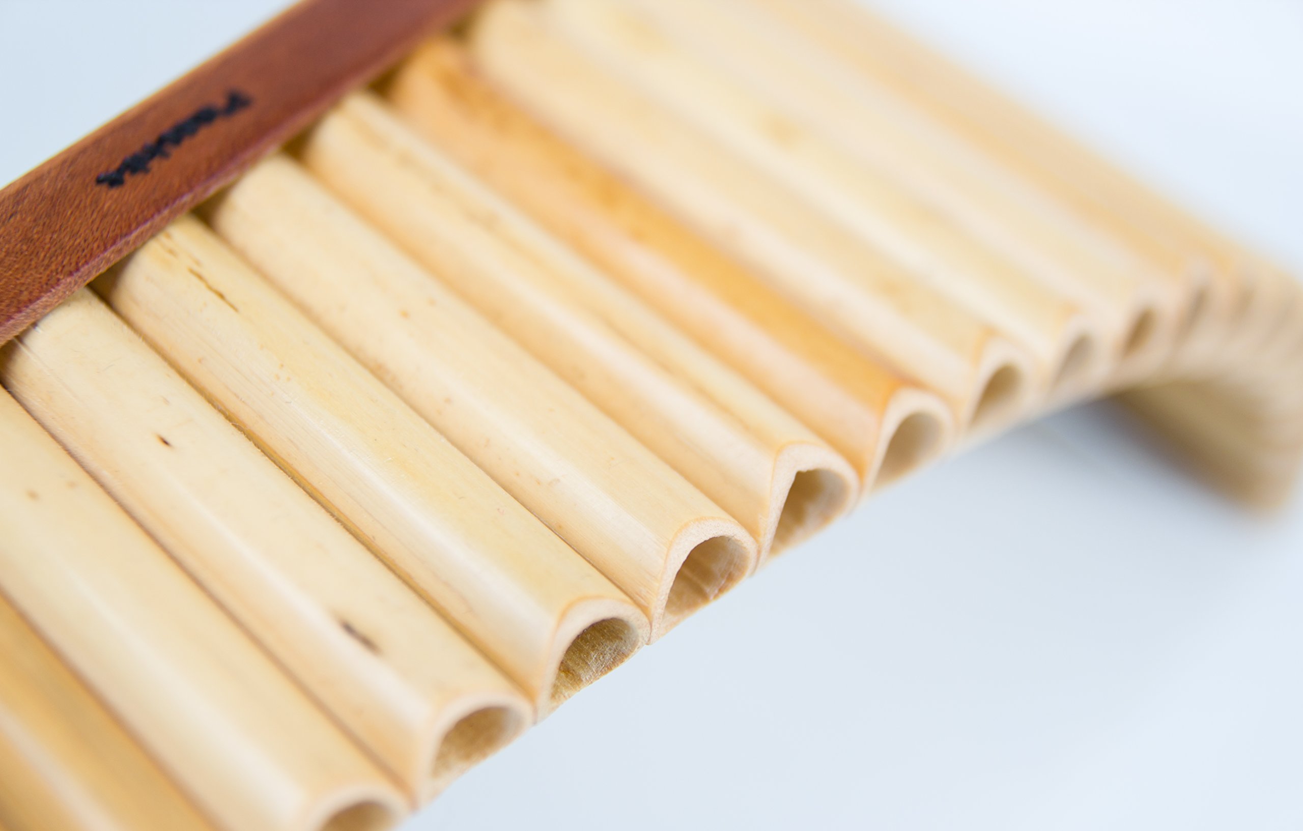 Flûte de Pan Plaschke Premium avec sabot, set avec sacoche, livret d'instructions et kit d'entretien, 25 tubes-Do