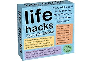 Funny Daily Calendar 2024 Page-A-Day: A Year of Jokes, Quotes, and Shenanigans