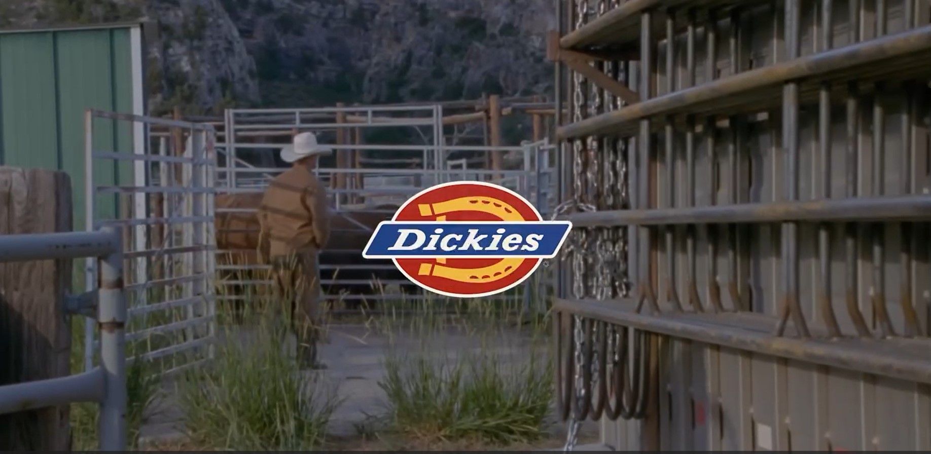 Dickies Women