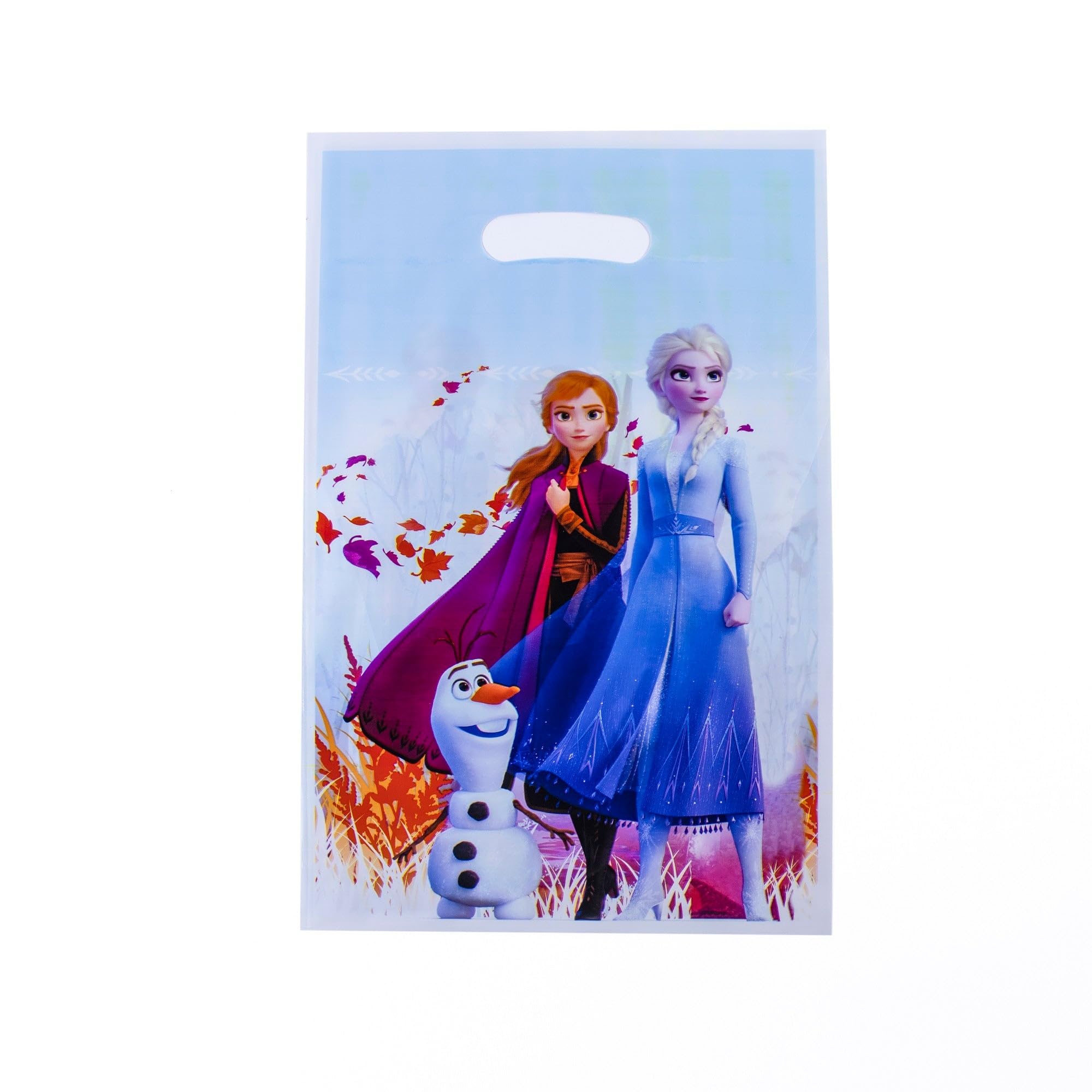 Frozen Elsa and AnnaRoyal Sisters Celebration Loot Bags 16.5 * 25 cm, Set of 10 - Enchanted Fall Theme