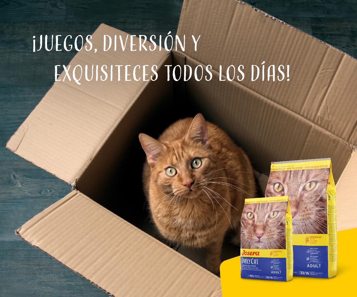 JOSERA DailyCat (1 x 10 kg) | Alimento para Gatos sin Cereales con Aves de Corral, Hierbas y Frutos | Alimento seco Gatos Adultos | 1 Unidad