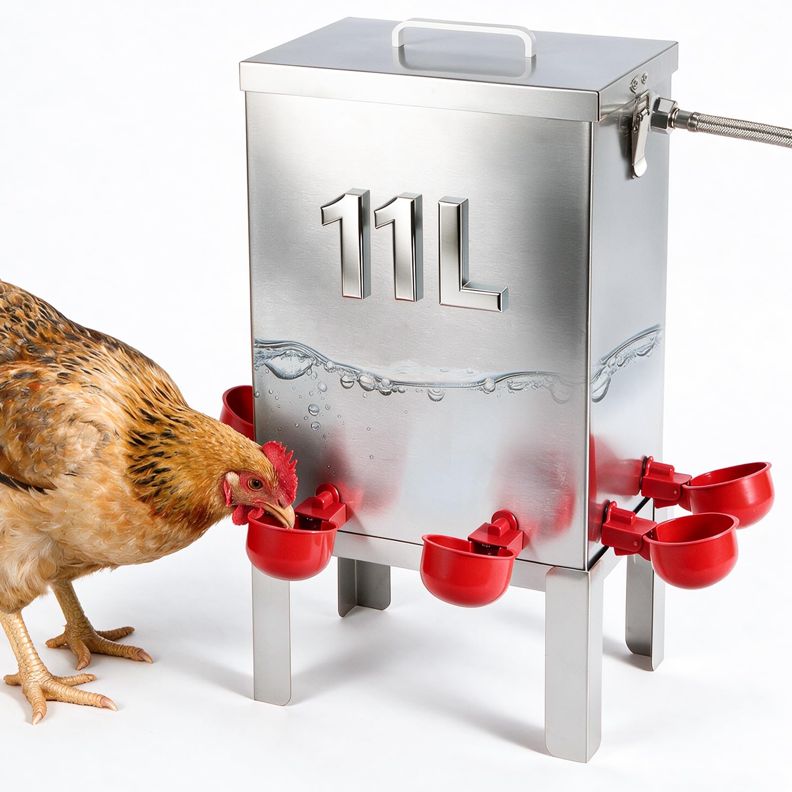 Bebedero AutomáTico para Gallinas de Acero Inoxidable 11 L | Bebedero para Aves con Cuenco de Agua, Soporte de Suelo y Manguera de ConexióN, Ideal para Gallinas, Codornices y Patos