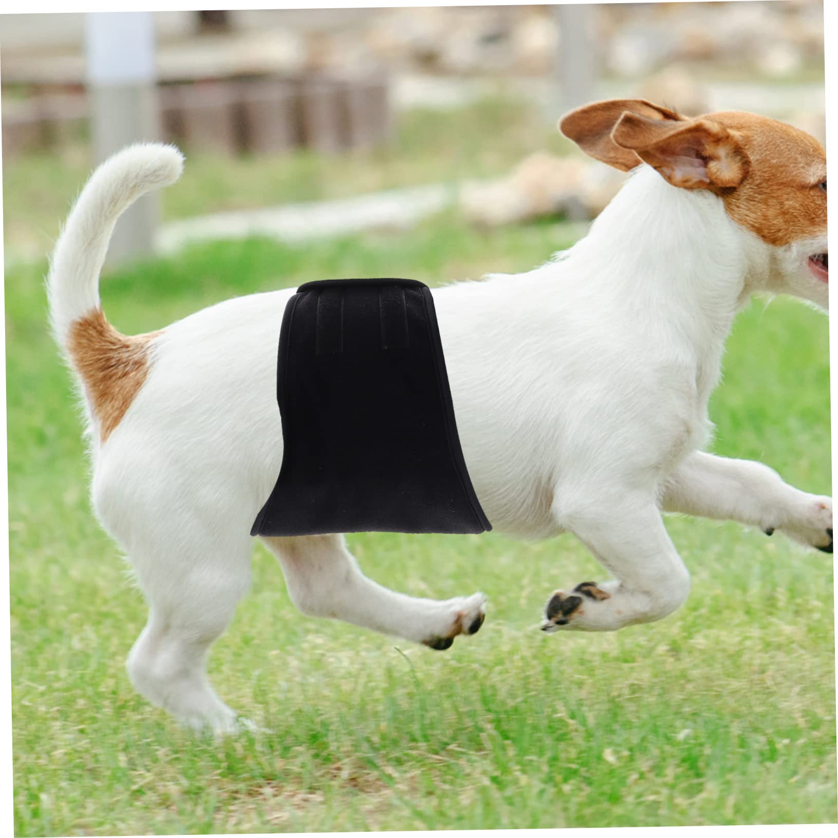 INOOMP 3pezzi Pannolino Riutilizzabile Per Cani Maschi Fascia Addominale Lavabile Protezione Contro Perdite Per Uso Domestico Design Comodo e Leggero Taglia Media