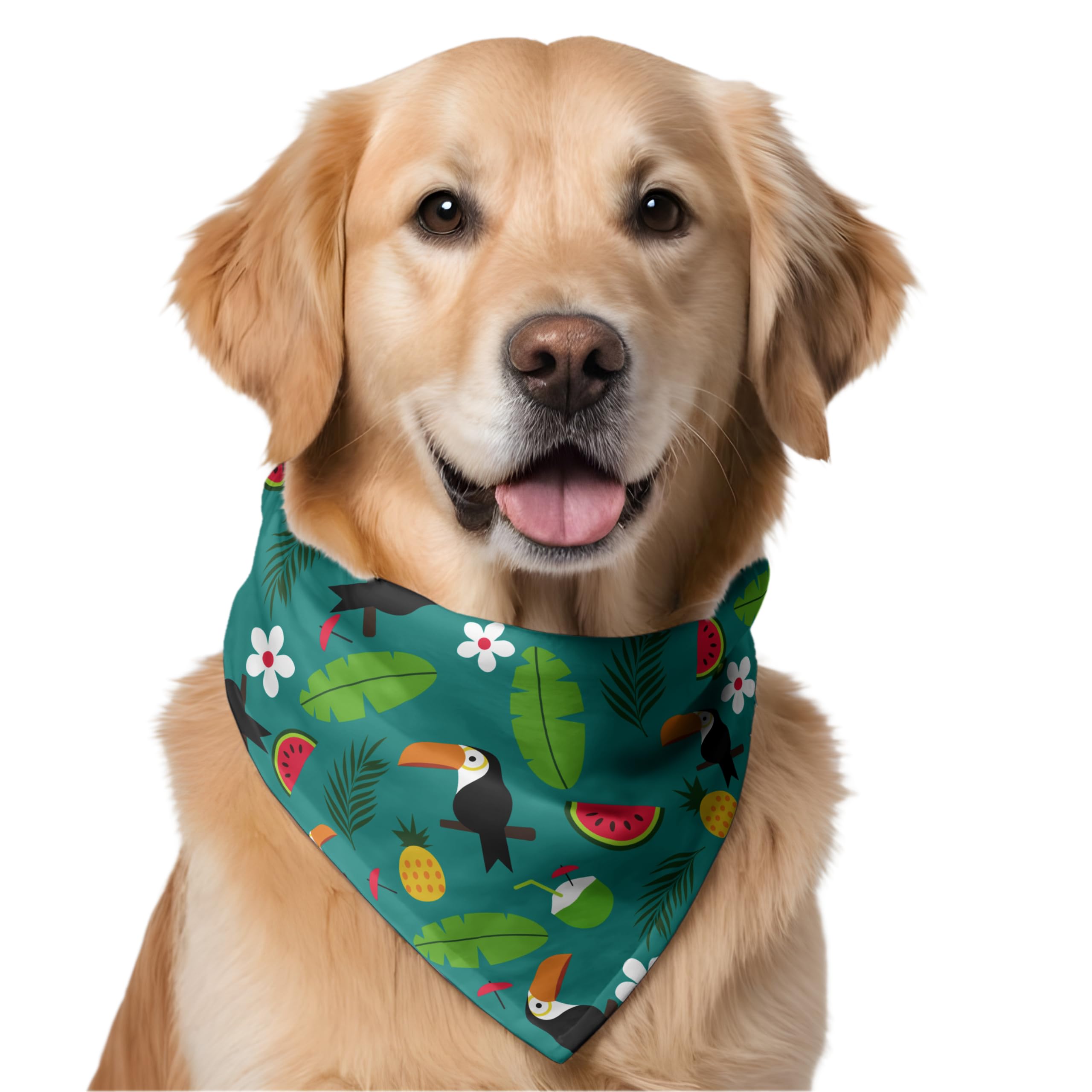 W Brings Toucans and Pineapples Dog Bandana/Scarf | This Stunning Gorgeous Design Dog Bandana Scarf is Perfect Styling Accessory for Dogs Large, Medium & Small. One Size Fits All. (B0CDXZW86G) Amazon Price History, Amazon Price Tracker