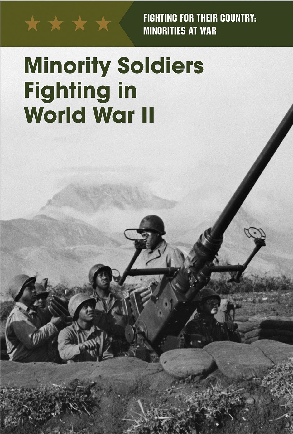 Buy Minority Soldiers Fighting in World War II (Fighting for Their Country: Minorities at War) — BookShops.in