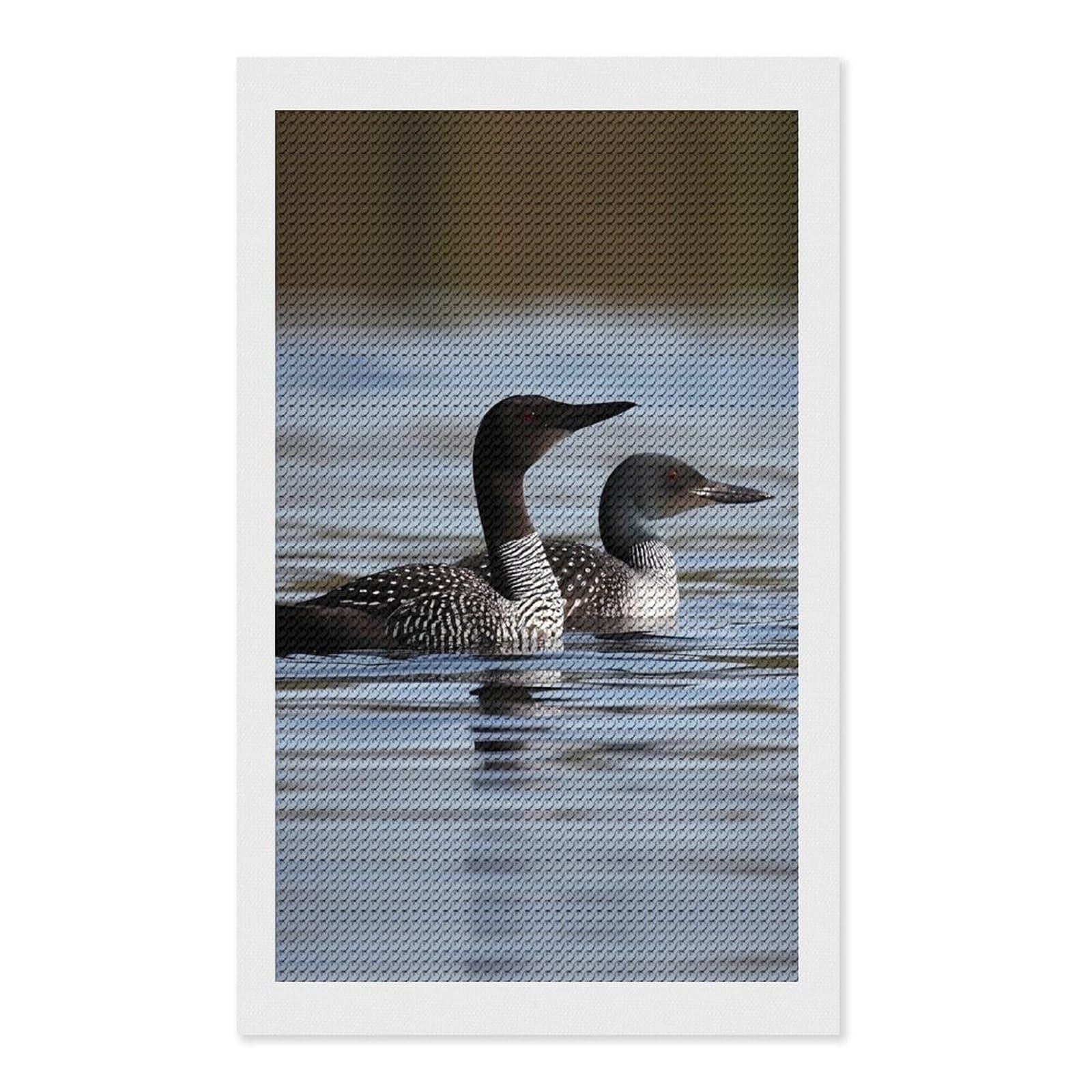 FodPand Loon Birds 5D Diamond Painting Kits for Adults Beginners Full Drill Round Diamond Dots Pictures Gem Art Supplies for Home Wall Room Decoration DIY Craft Set Gift 12x20