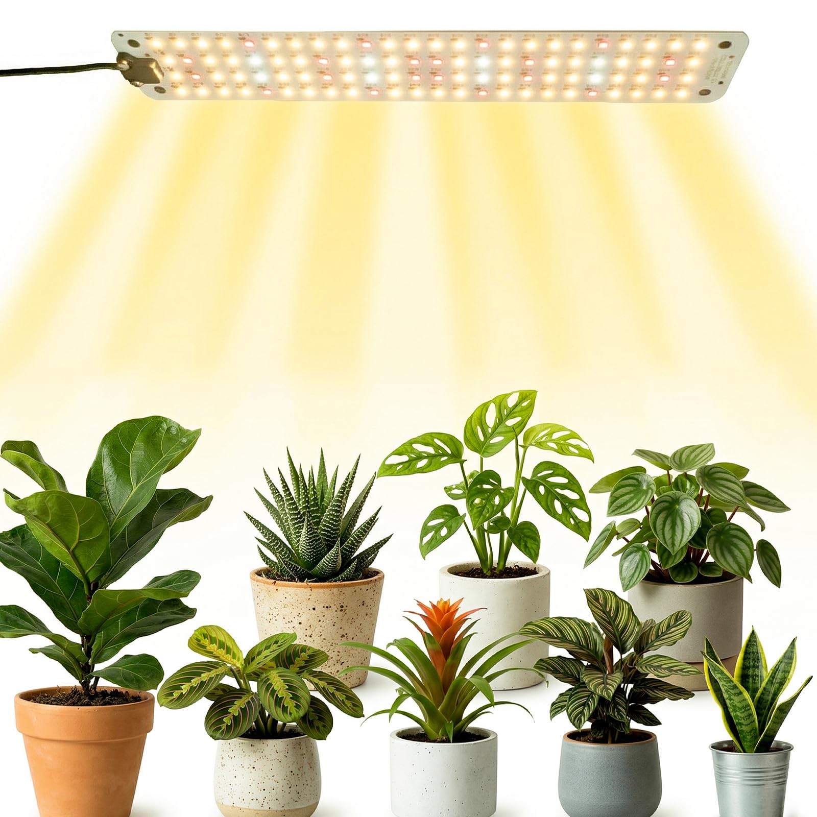 Amazon.co.jp: iGrex LED植物育成ライト USB給電 太陽光スペクトル