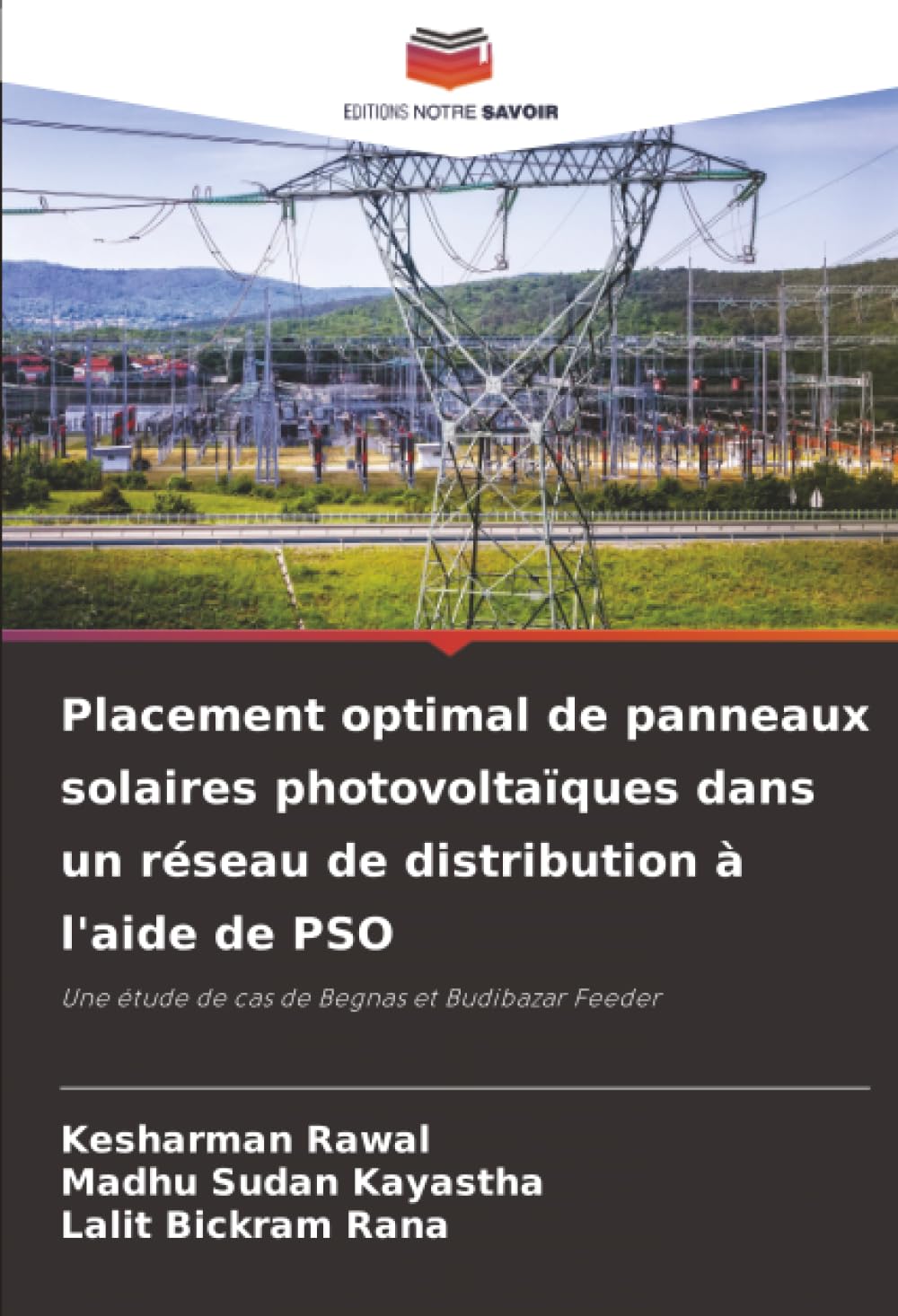 Placement optimal de panneaux solaires photovoltaïques dans un réseau de distribution à l'aide de PSO: Une étude de cas de Begnas et Budibazar Feeder