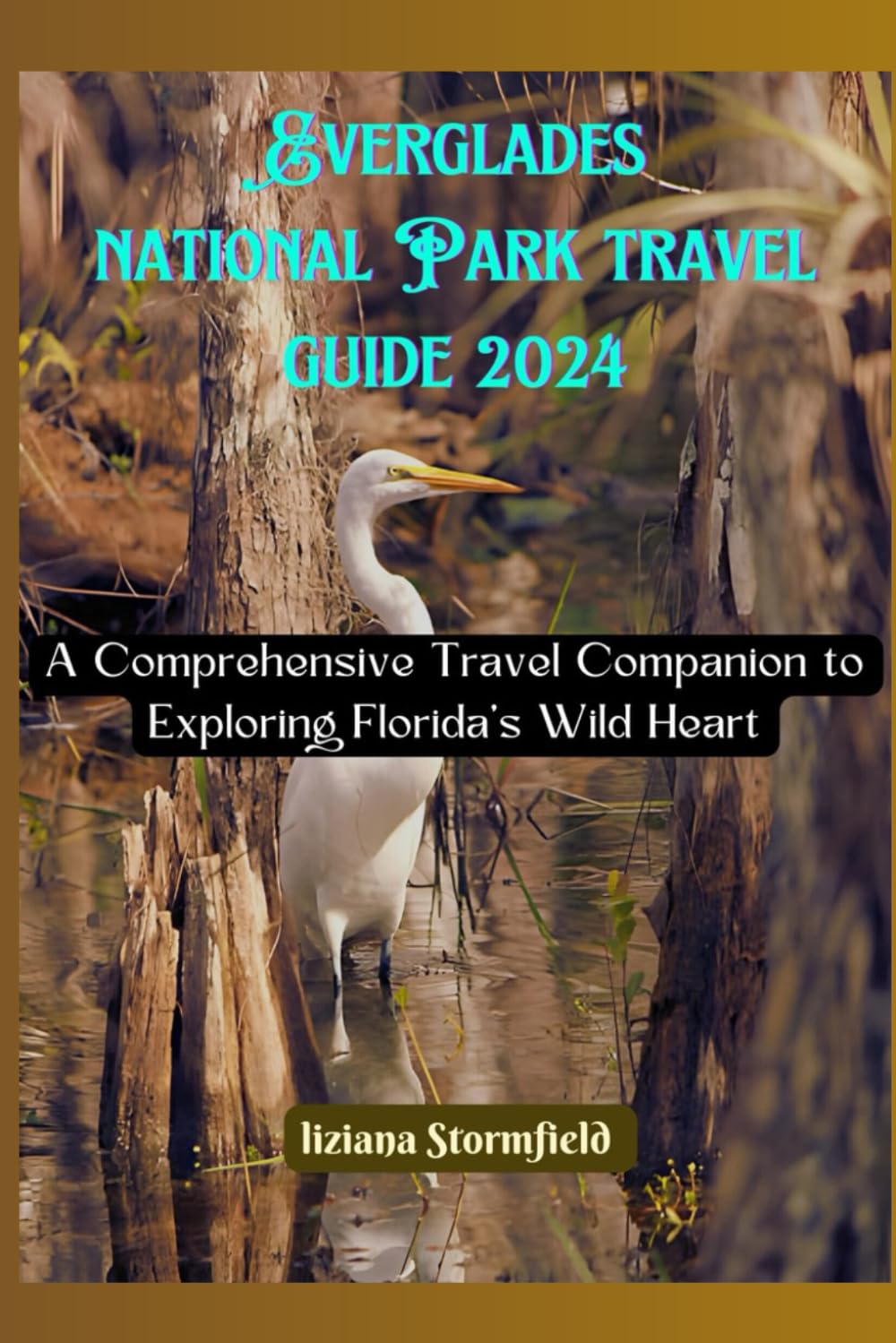 Everglades National Park travel guide 2024: A Comprehensive Travel