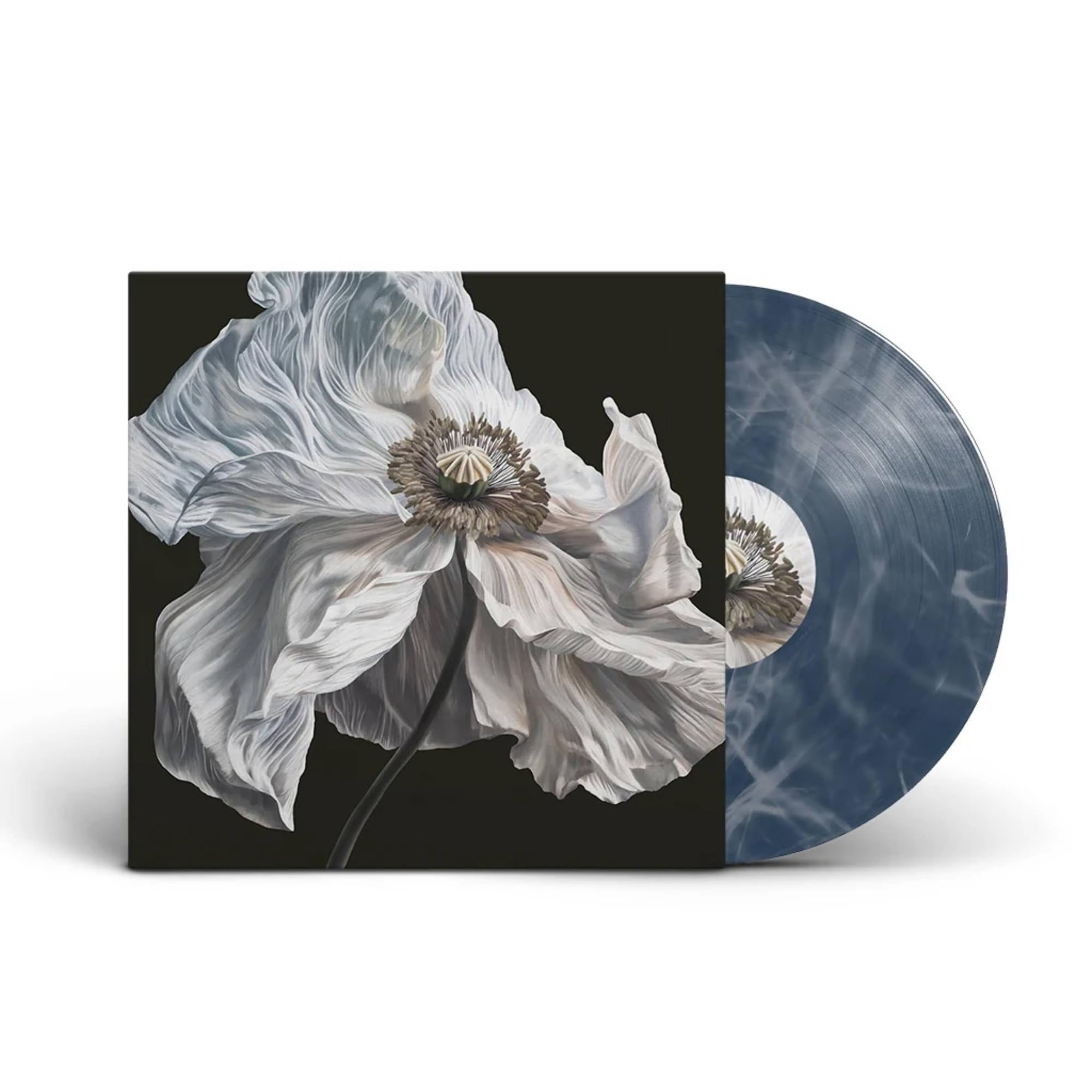 Bring On The Psychics [VINYL]