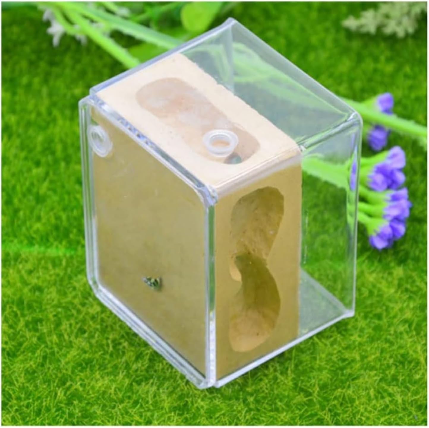 Ant Farm Gypsum Ant Farm Square Nest Pet Anthill Insect Box Workshop Used for Science Education Habitat(Brown)