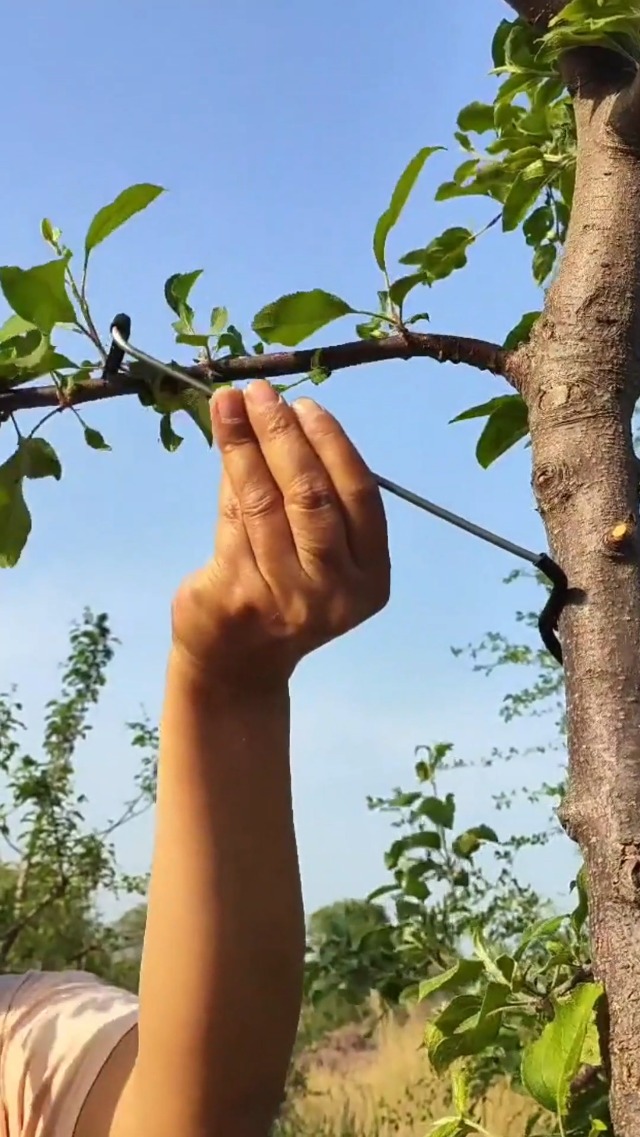 25x Extractor De Ramas De árboles, Esparcidor De Ramas Para Huertos Arboles Frutales 70cm