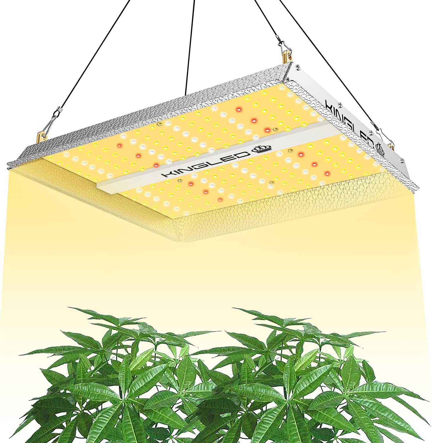 KINGPLUS UL600 LED Grow Light 2x2ft Coverage Full Spectrum Grow Lights for Indoor Plants Veg and Bloom Greenhouse Plant Light for Seed Starting with IR LEDs Four for 4x4ft Footprint