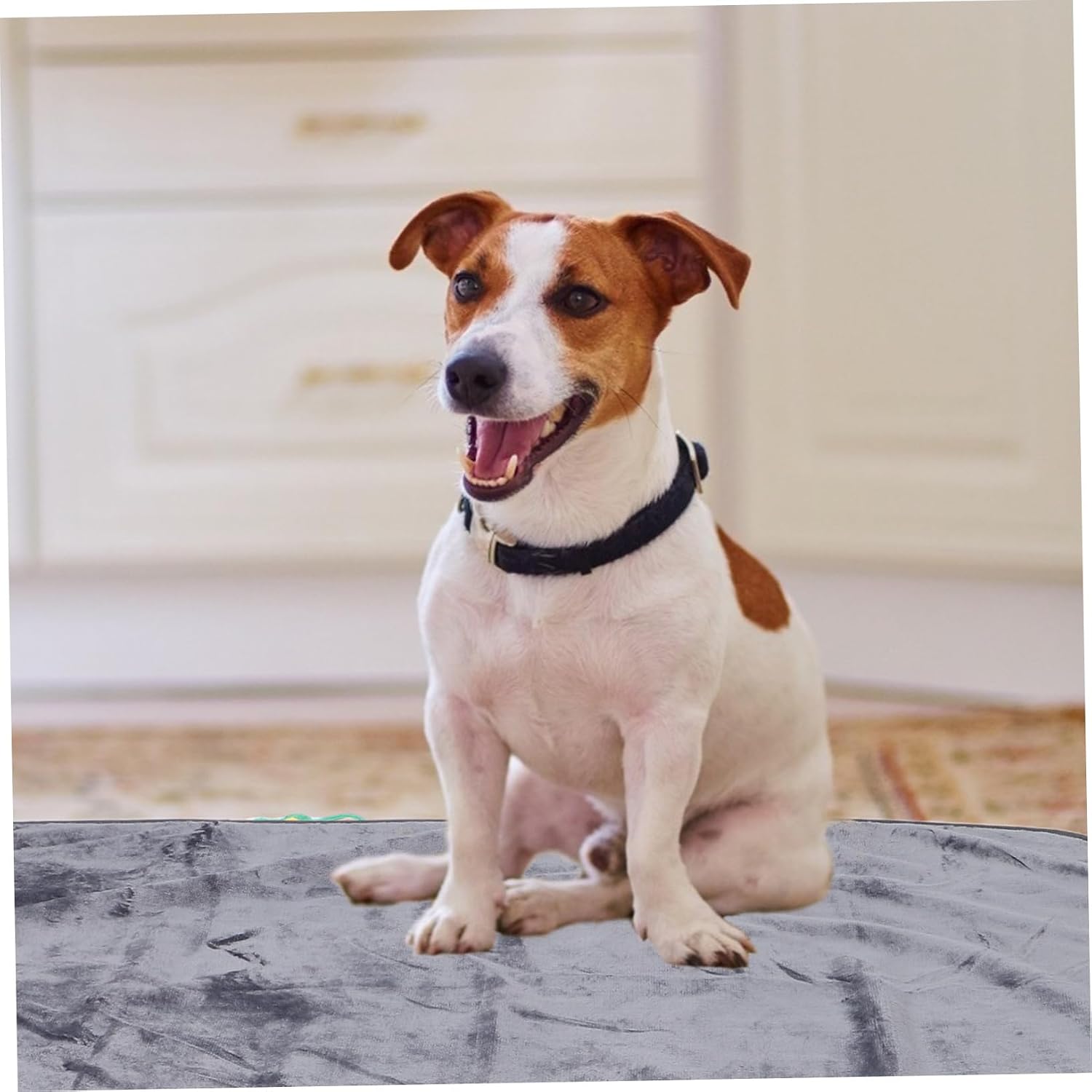 Levemolo Washable Waterproof Pet Blanket: 100x75cm Throw Pet Blankets for Cat Puppy Kitten Dogs - Reusable Cats Bed Cover for Sofa Bed Car