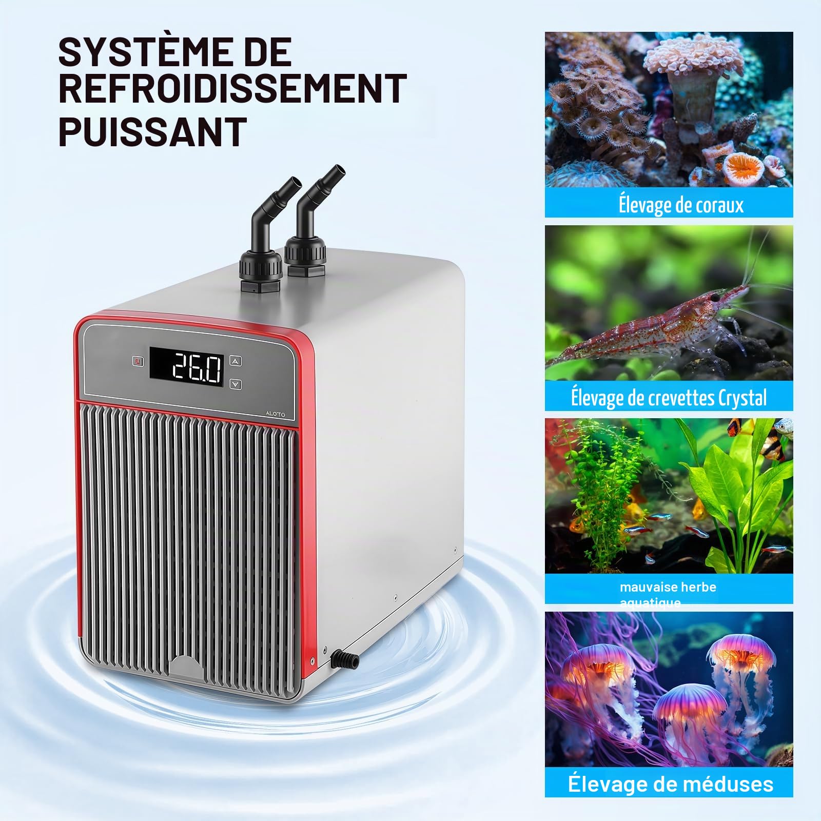 Refroidisseur D'aquarium 160L, Refroidisseur Aquarium Silencieux Adapté Aux Plantes Aquatiques D'aquarium Méduses Plantes Aquatiques d'eau Douce/Eau Salée, avec Pompe, Tuyau et Anneau de Fixation