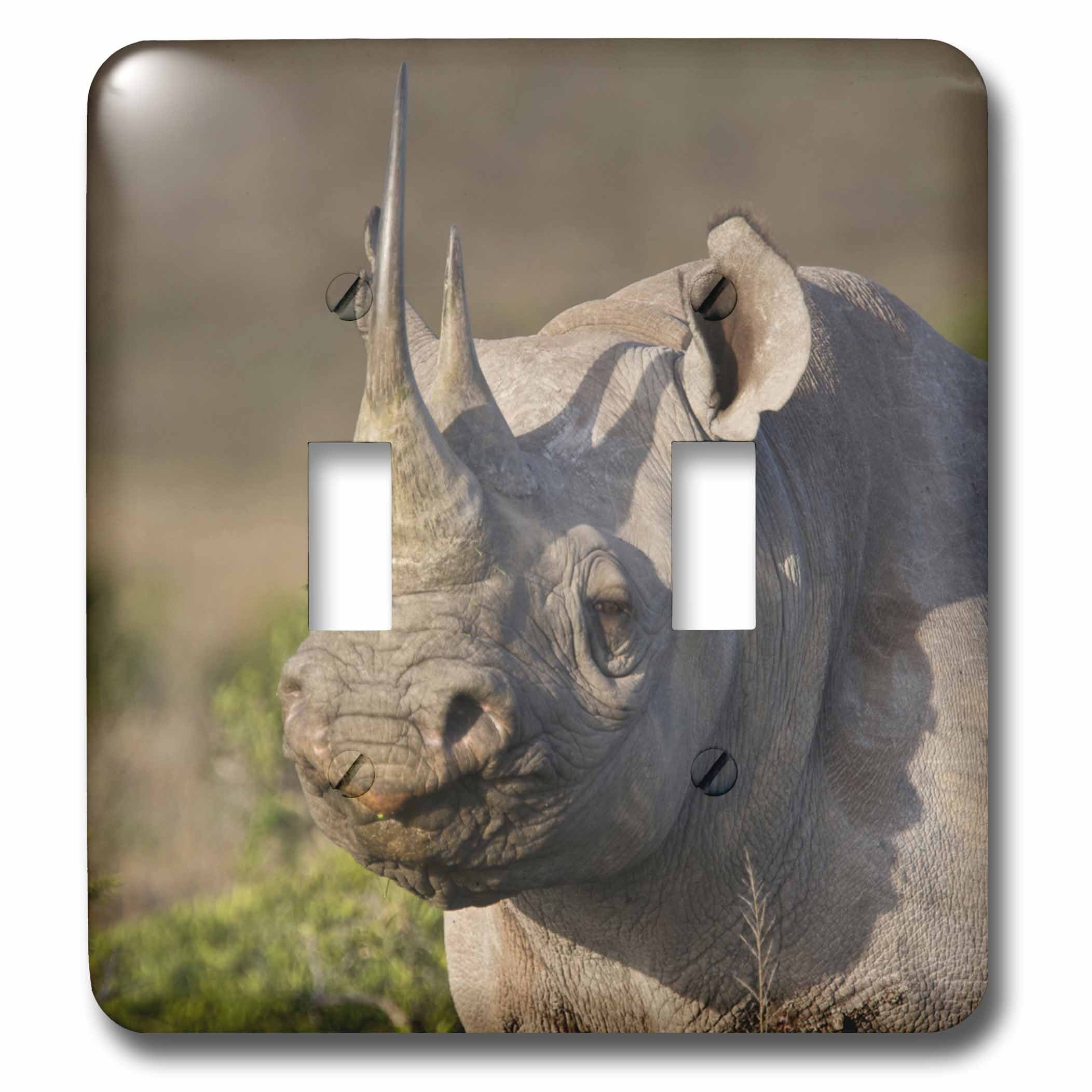 Interrupteur double de créateur Black Rhinoceros Shamwari 3dRose