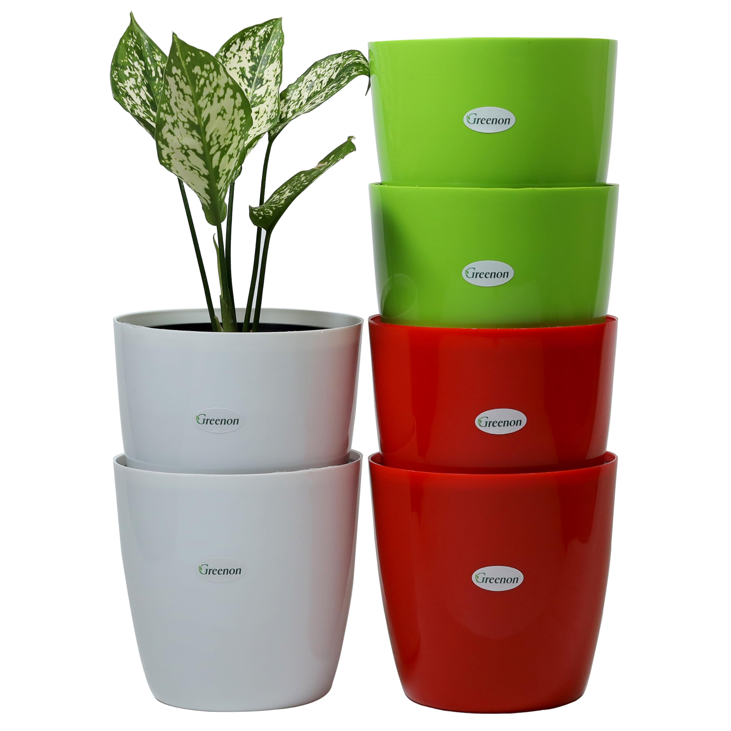 See full amazon price history chart for GREENON 6 Inch Plant Pot Pack of 6 (12 Pots) | White,Red,Green Outer and Black Inner Flower Pot | Self Water | Unfading Planter | Virgin Plastic Gamla | UV Treated | for Tabletop GREENON 6 Inch Plant Pot Pack of 6 (12 Pots) | White,Red,Green Outer and Black Inner Flower Pot | Self Water | Unfading Planter | Virgin Plastic Gamla | UV Treated | for Tabletop (B0DG58NWQM) Amazon Price History, Amazon Price Tracker