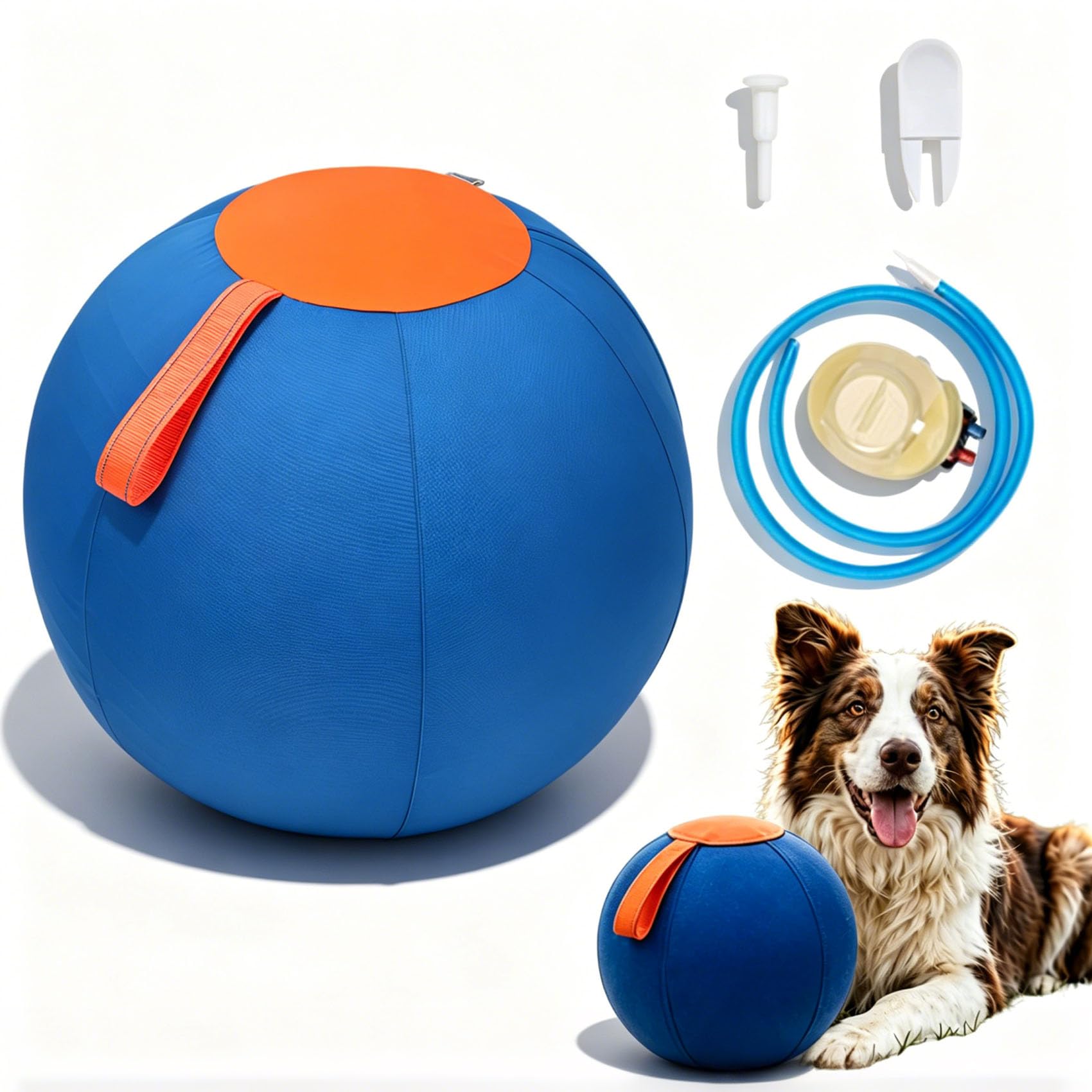 Valkyrie Herding Ball, Releases Energy in 15mins, Bite-Resistant，65CM