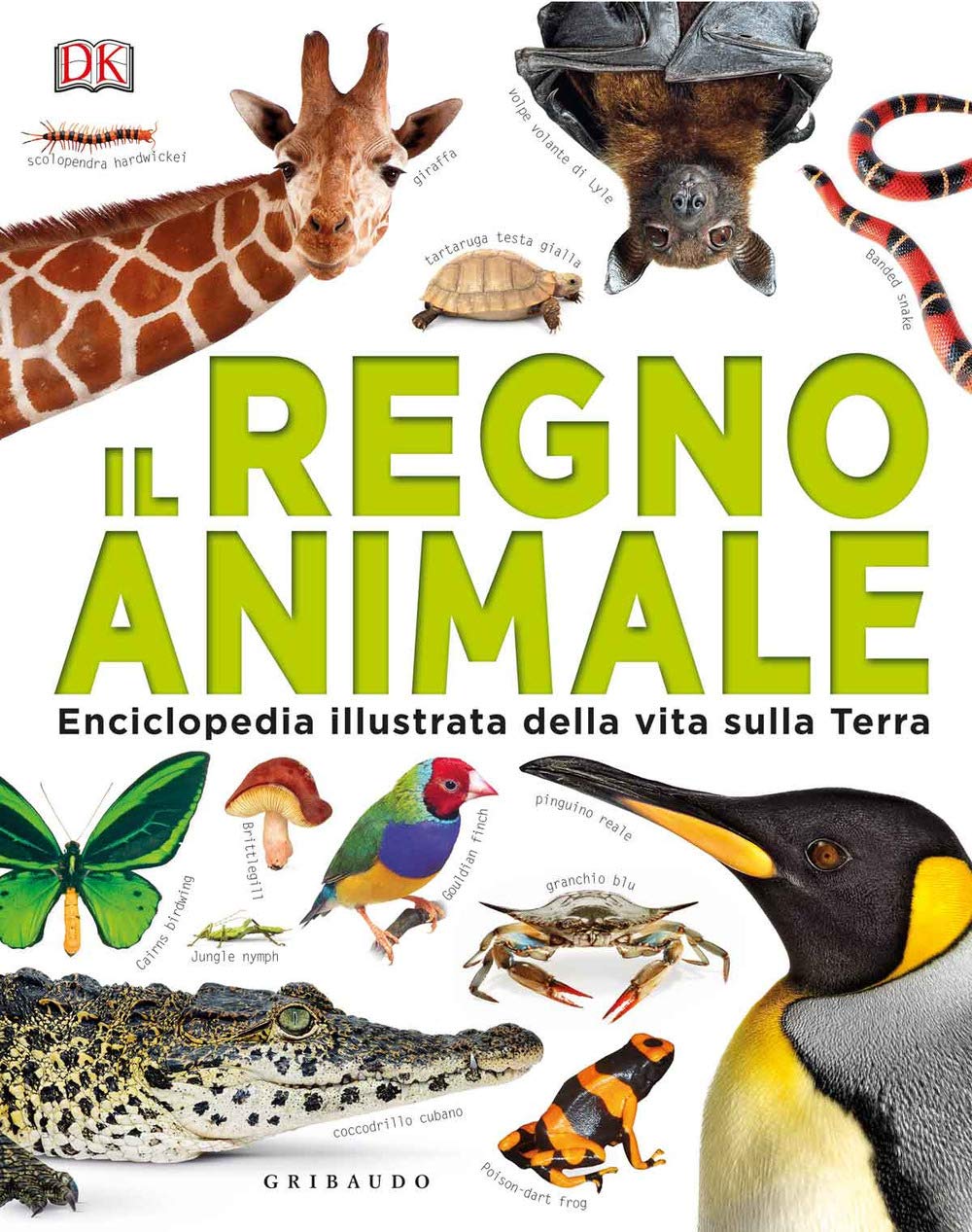 Il Regno Animale - 4