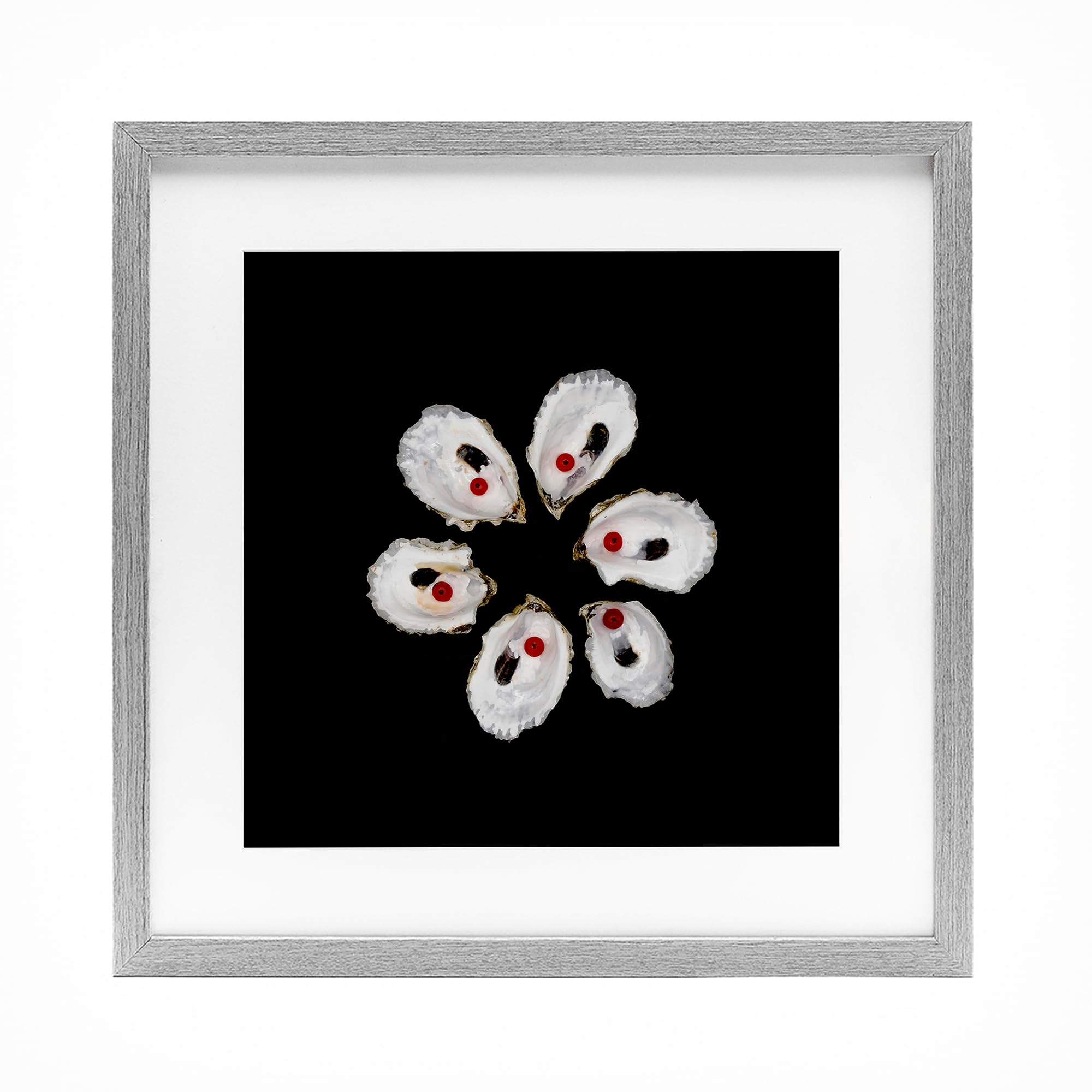Stupell Industries Farmhouse Gray (Textured) 'Oyster Shells Symmetry'| Framed Print Under Glass