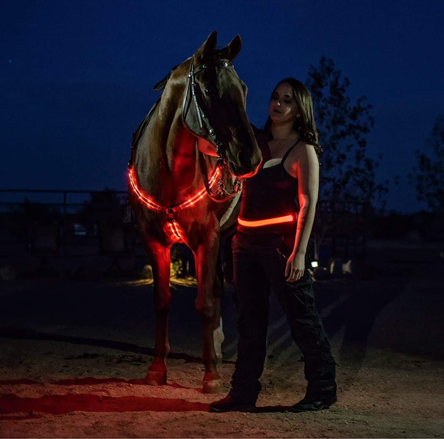 Pettorale Per Cavallo Regolabile A LED, Ad Alta Visibilità, Collare Per
