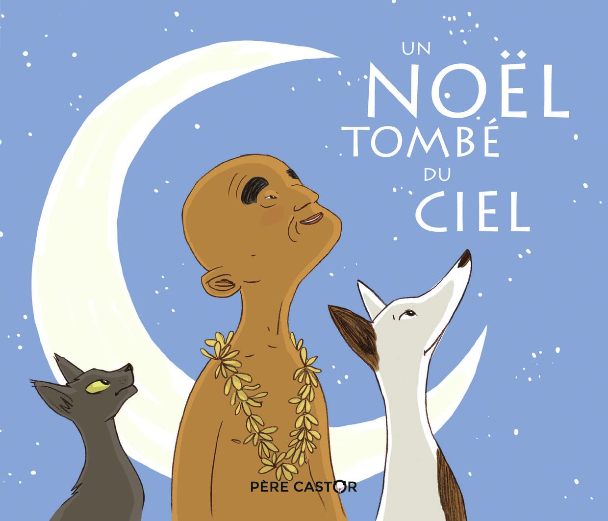 Un Noel tombe du ciel
