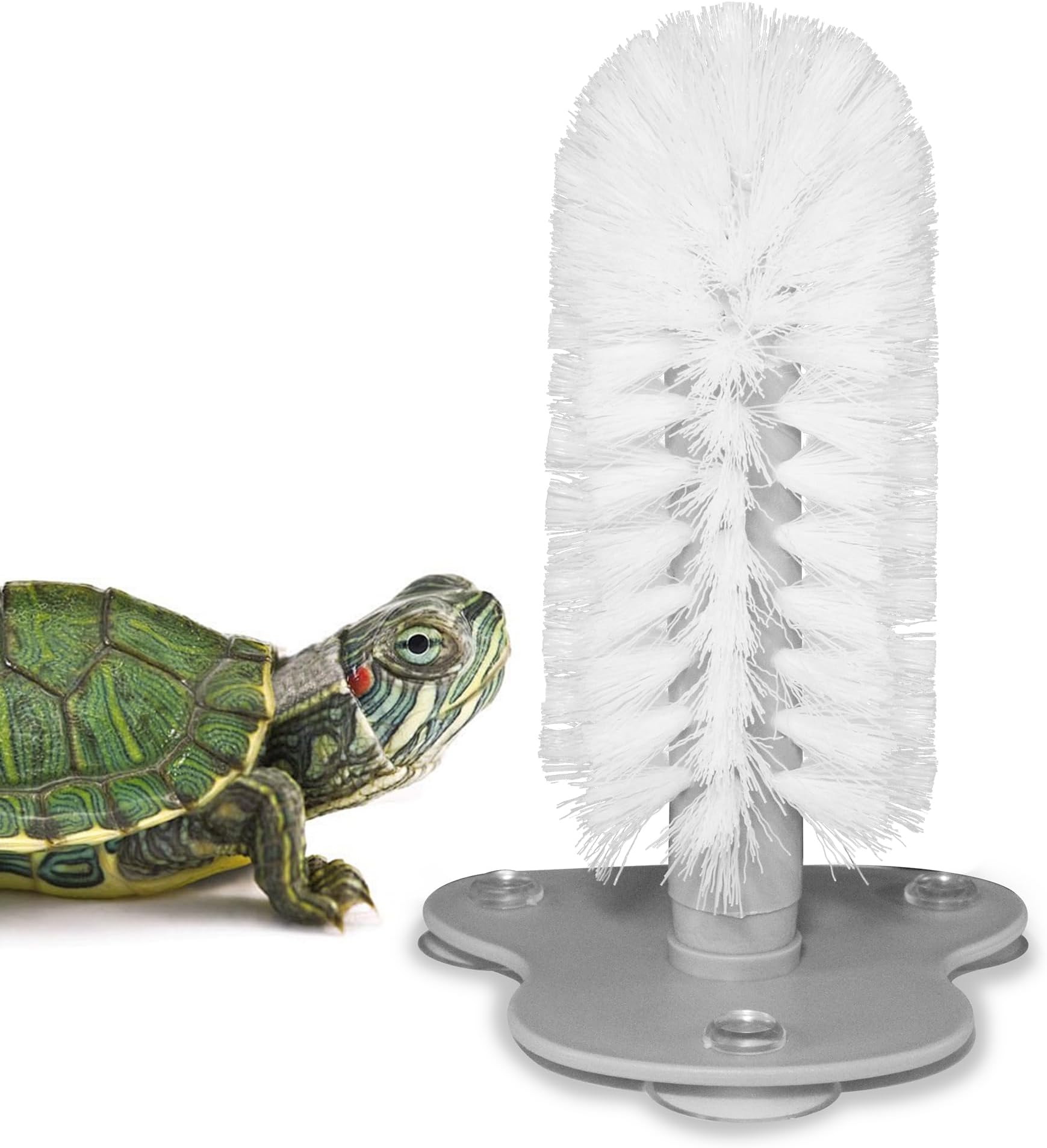 Turtle Brush with Suction Cup for Tank, Three High Suction Power Suction Cup Turtle Shell Cleaning Brush, White