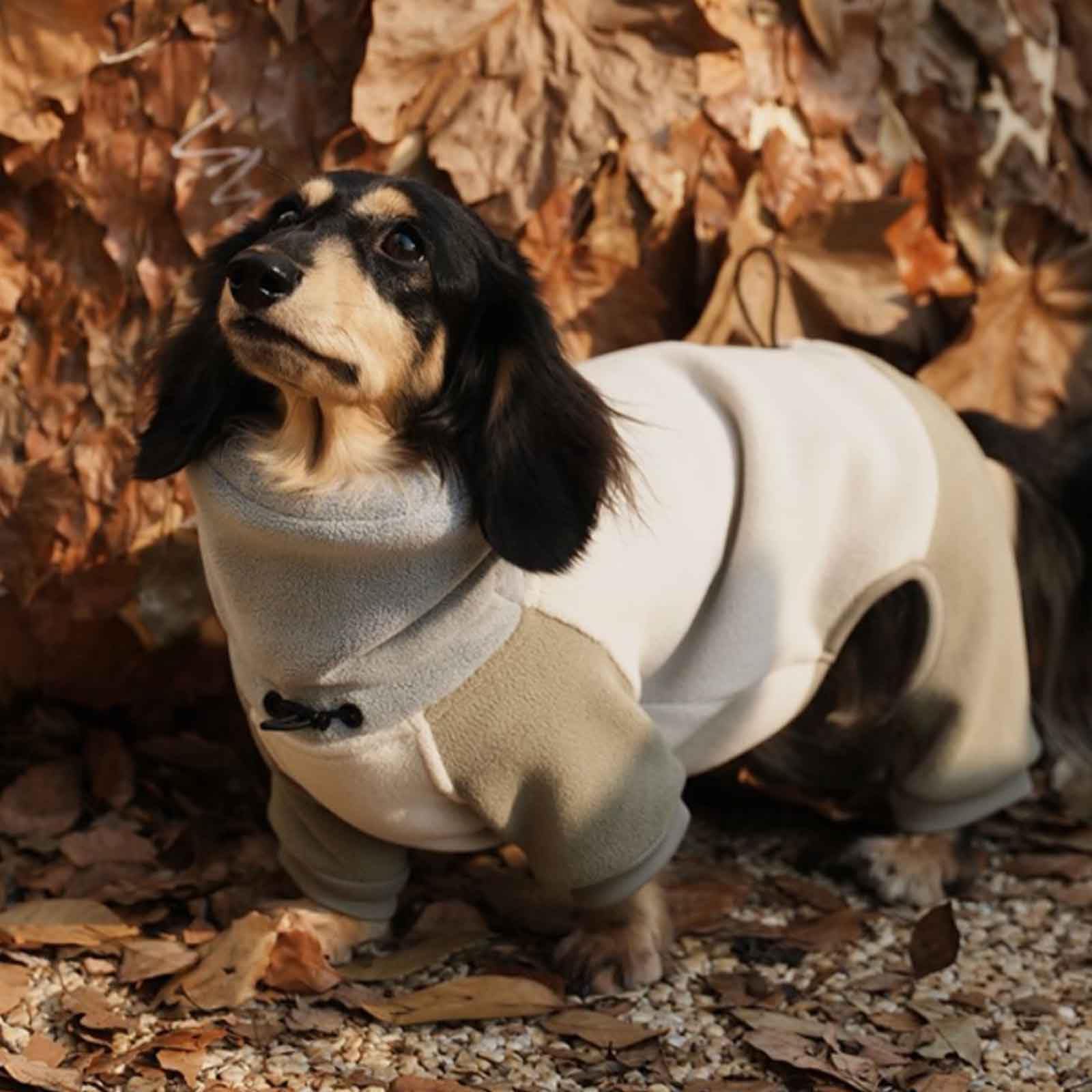 Manteau chaud polaire pour chien taille S | Solution anti-froid pour teckel et petits chiens