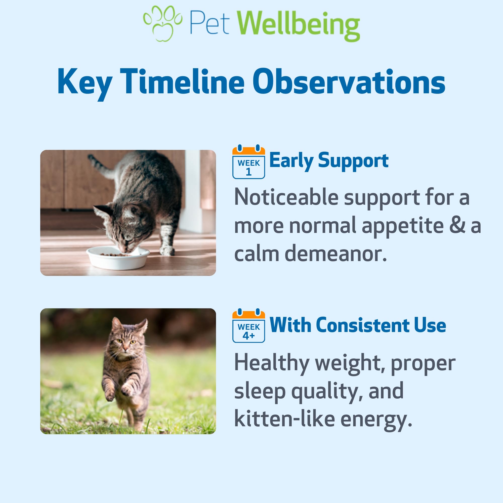 Pet Wellbeing Supporto Oro della Tiroide per I Gatti - Naturale Supporto della Ghiandola Tiroidea Felina E Temperamento Calmo Normale - 4 Oz (59Ml)