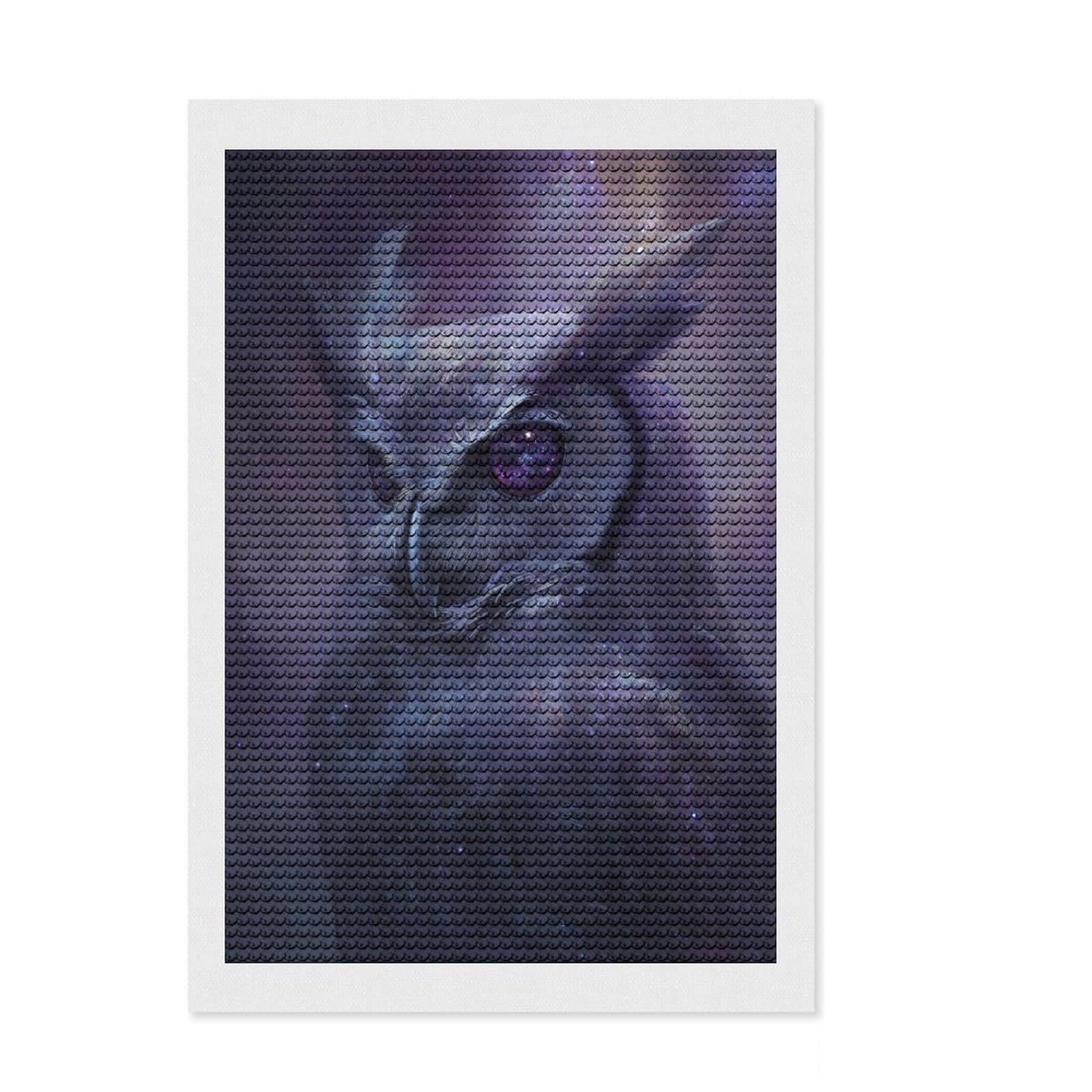 Junmoney Starry Owl Gaze Full Drill Diamond Painting Kit 8"x12", for Adults, Relaxing DIY Hobby, Living Room Decor, Birthday Gift