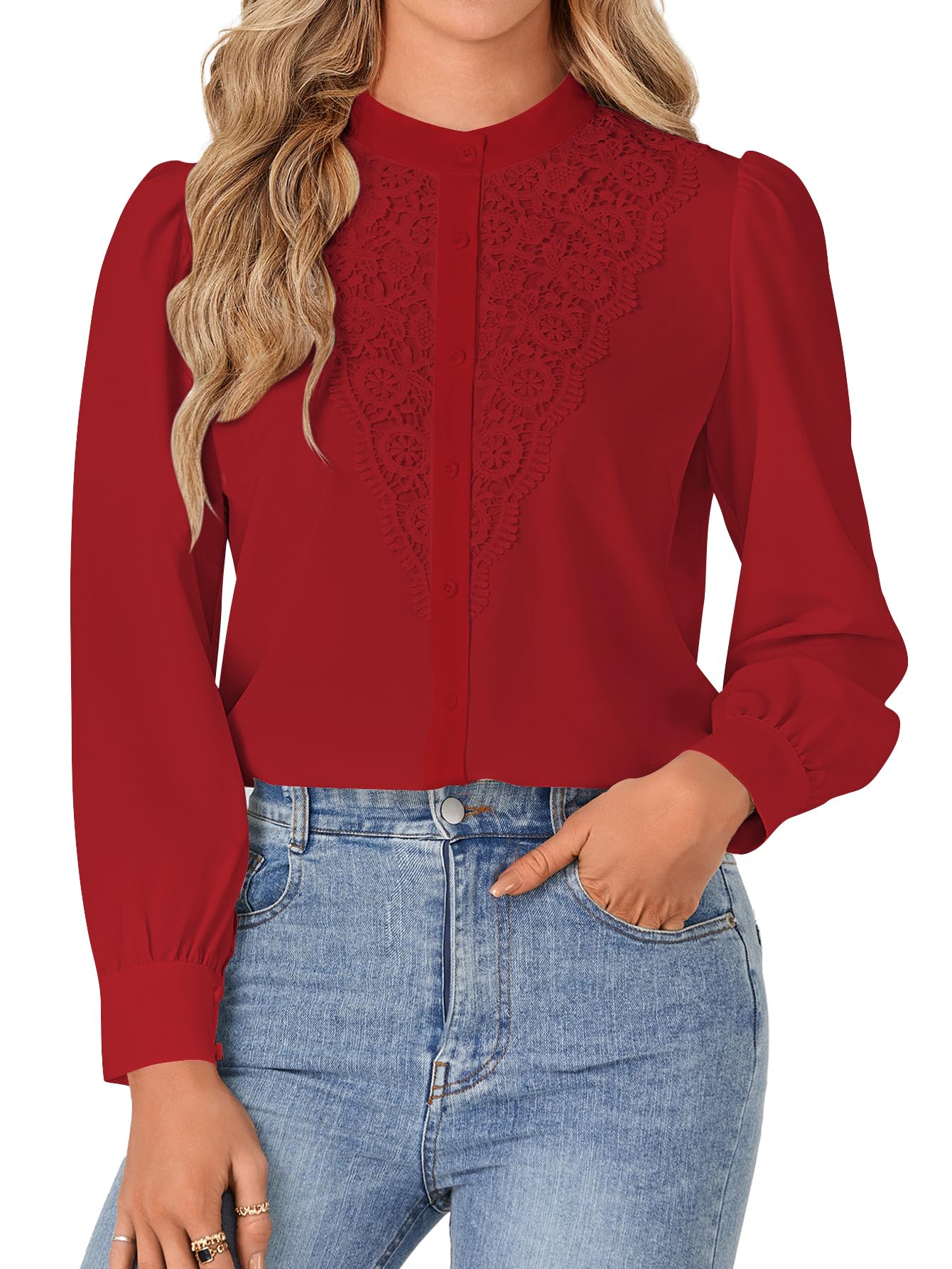 Rooscier Women's Lace Mock Long Sleeve Button Down Elegant Blouse Shirt Top Fall Clothes