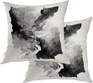 Granite Ink Diffusion Abstraction Throw Pillow Covers, Monochrome Ink Texture Art Cushion Cover Digital Blended Hidden Zipperl Decorative Pillowcases for Hair Skin Square 20X20 in 2 Pcs