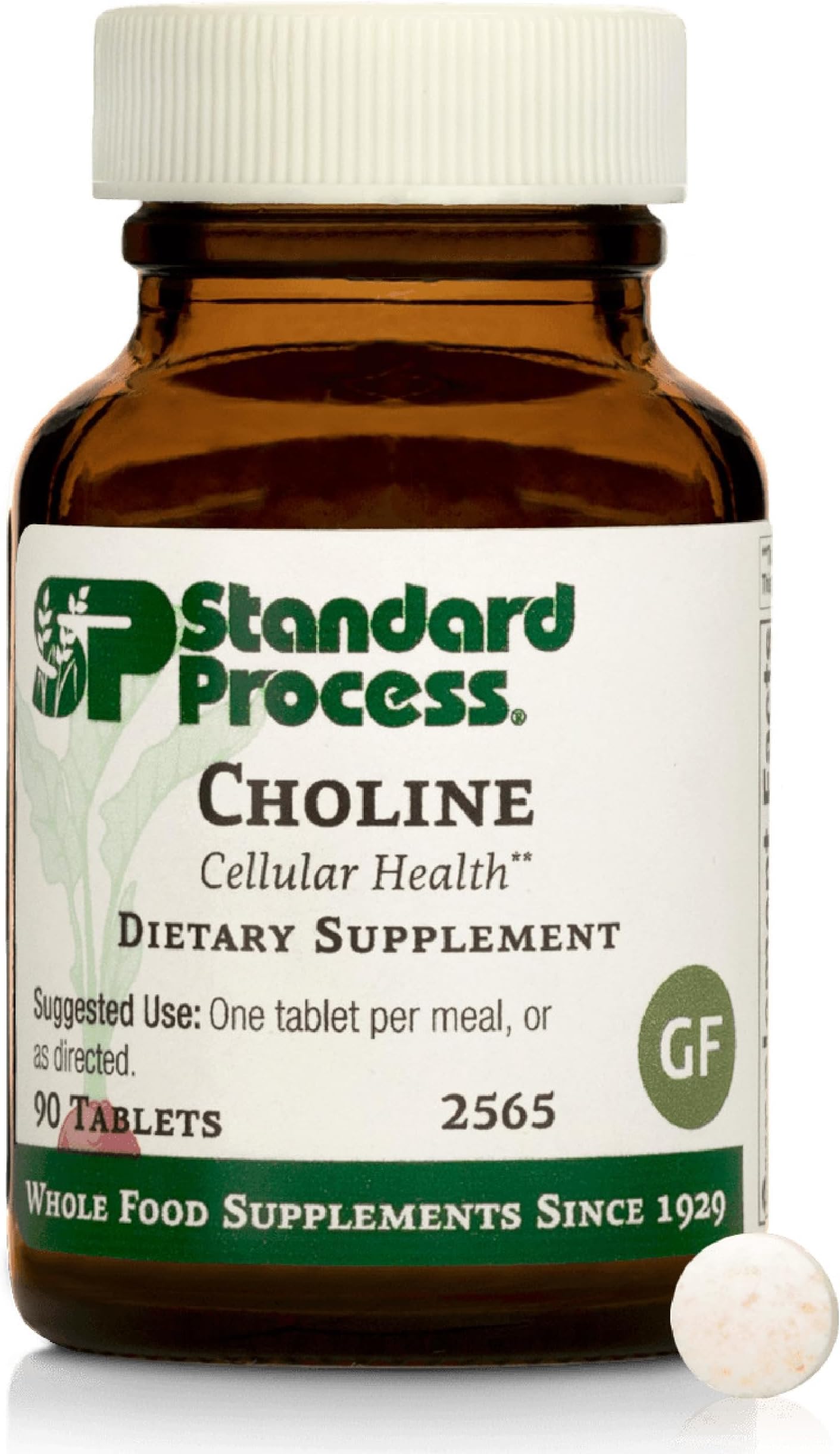 Choline 90 Tabs by Standard Process