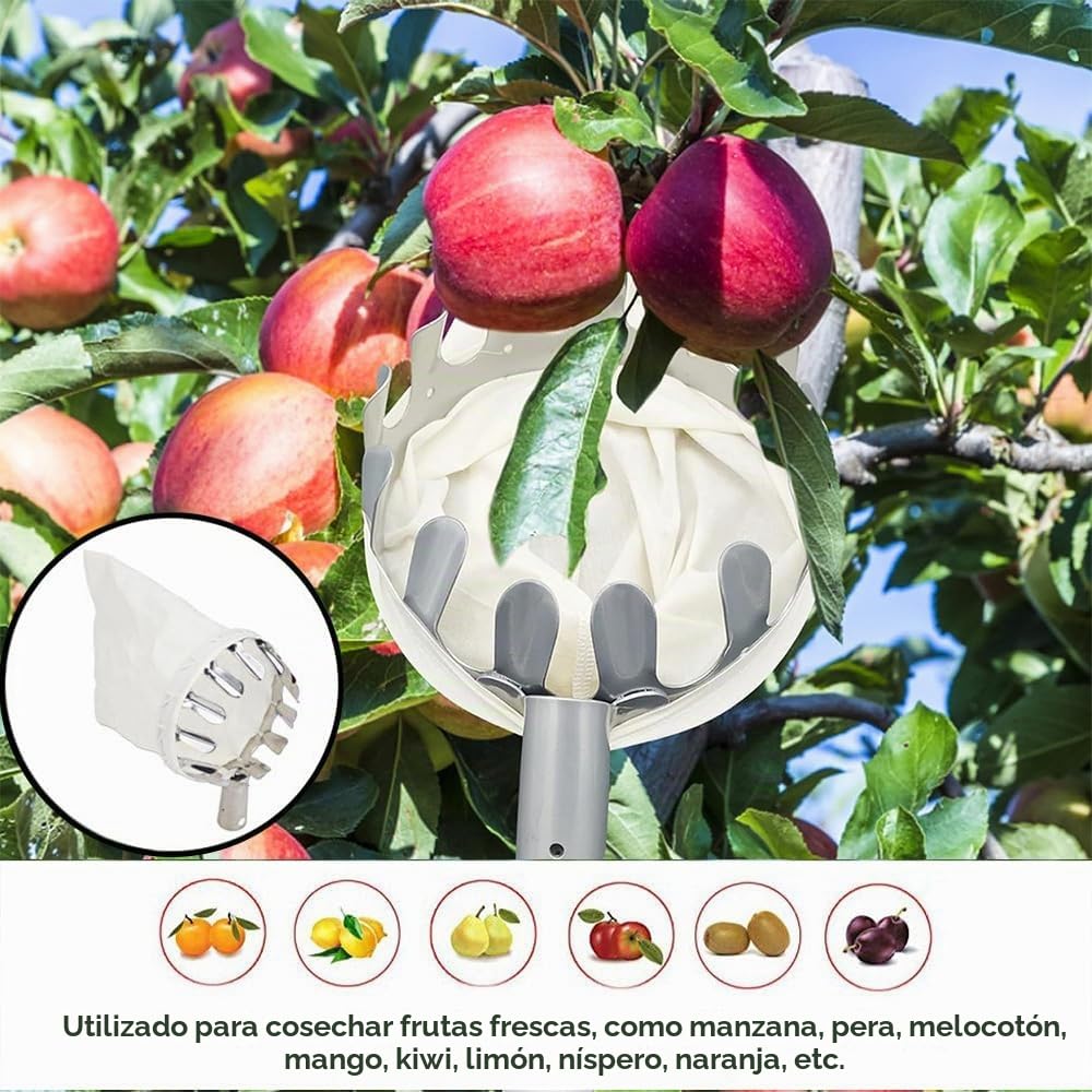 HEYIDAMAI Recogedor de fruta, Recogedor de manzanas, Ayuda para la recolección 4M, Recogedor de frutas Fácil de montar, Recogedor de cerezas con ligera extensión de acero inoxidable, Barra de conexión