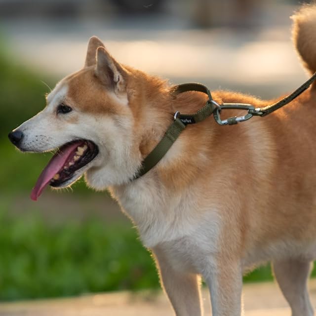 Foto 6 de 7 de Hyhug Pets Martingale - Collar para Perro, no destiñe, Collar de Entrenamiento Resistente sin Hebilla…