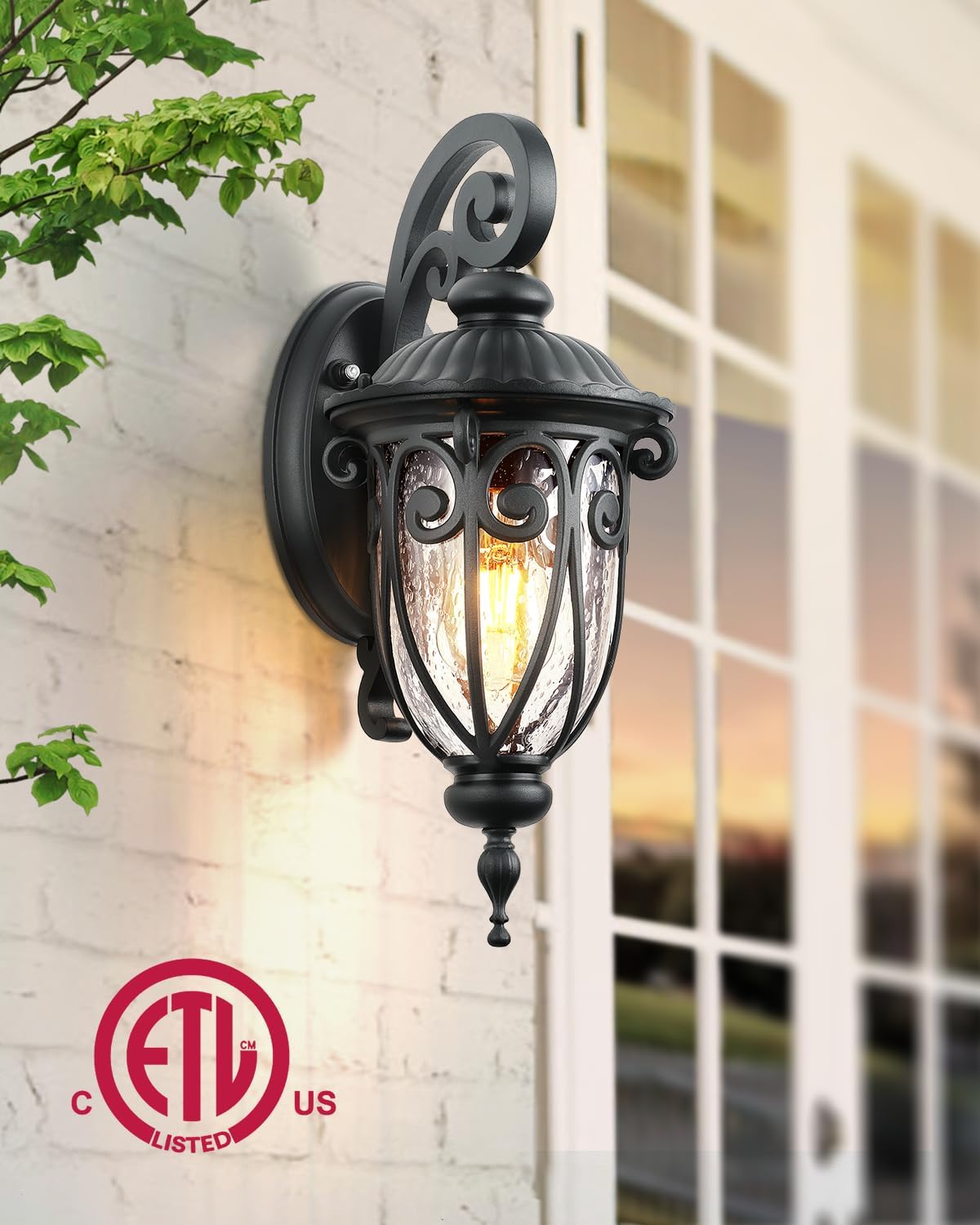 VIANIS Outdoor Light Fixture Dusk to Dawn, 2 Pack Outdoor Lights for House, Black Exterior Lighting Fixtures, Waterproof Outside Lights for House, Garage, Porch, Anti-Rust, Seeded Glass, Vintage Style