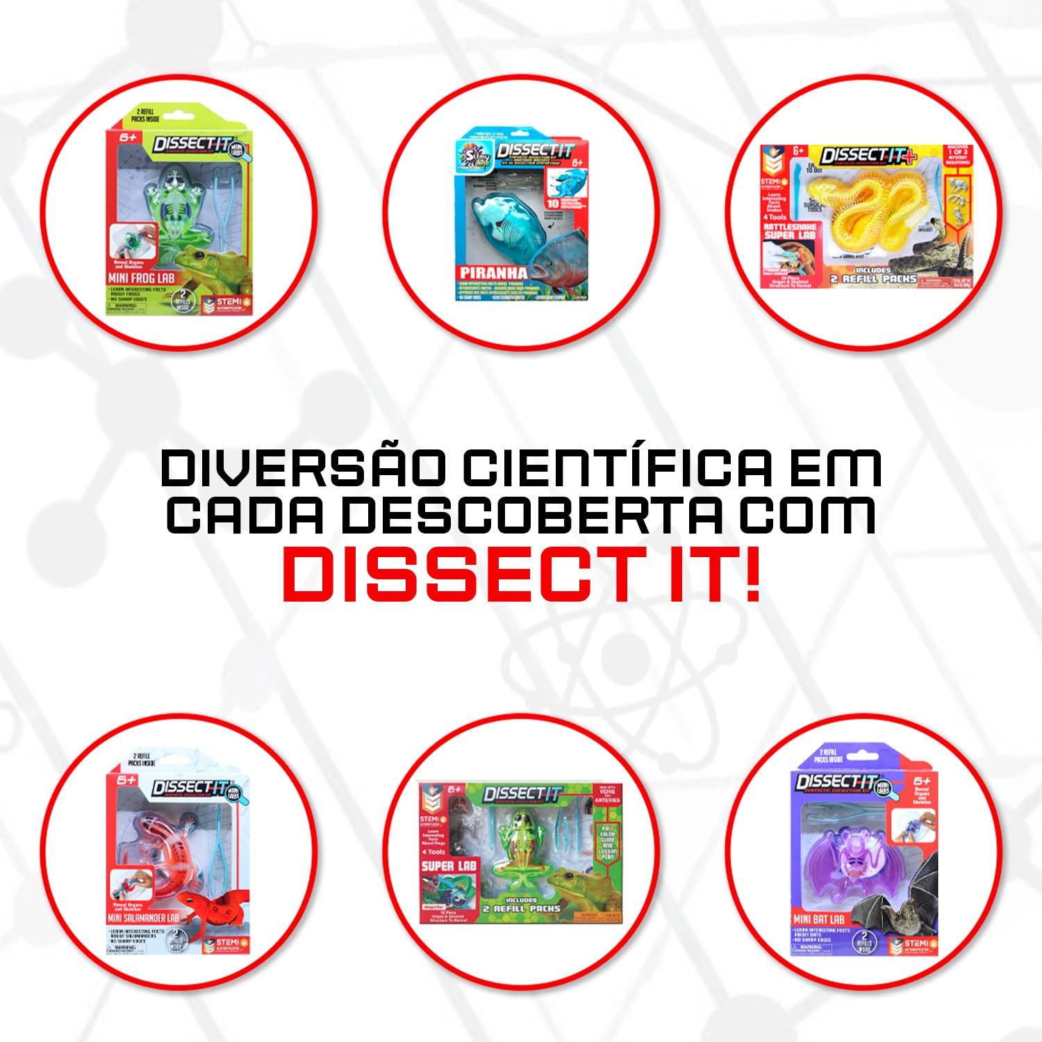 Candide, Dissect-It, Kit de Dissecação Mini, Acompanha Acessórios