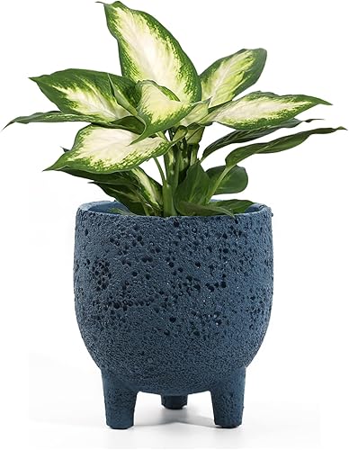 FOLKOR LIFE Maceta de hormigón para plantas de interior de casa, maceta grande de serpiente de 6.3 pulgadas con orificio de drenaje, macetas de