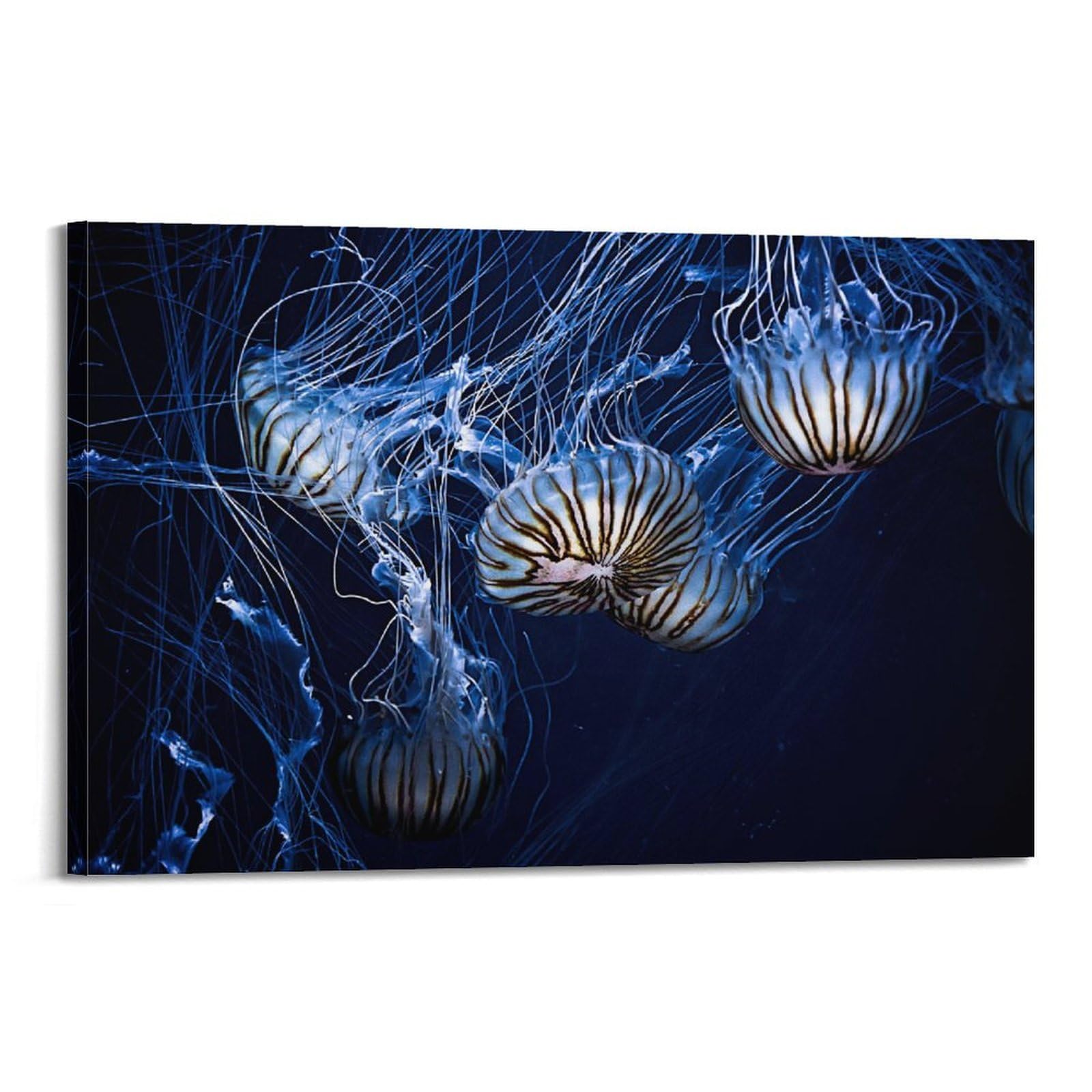 CXHJCA Sea Life Poster Cunning Jellyfish Poster Decorative Painting Canvas Wall Posters And Art Picture Print Modern Family Bedroom Decor Posters 24x36inch(60x90cm)