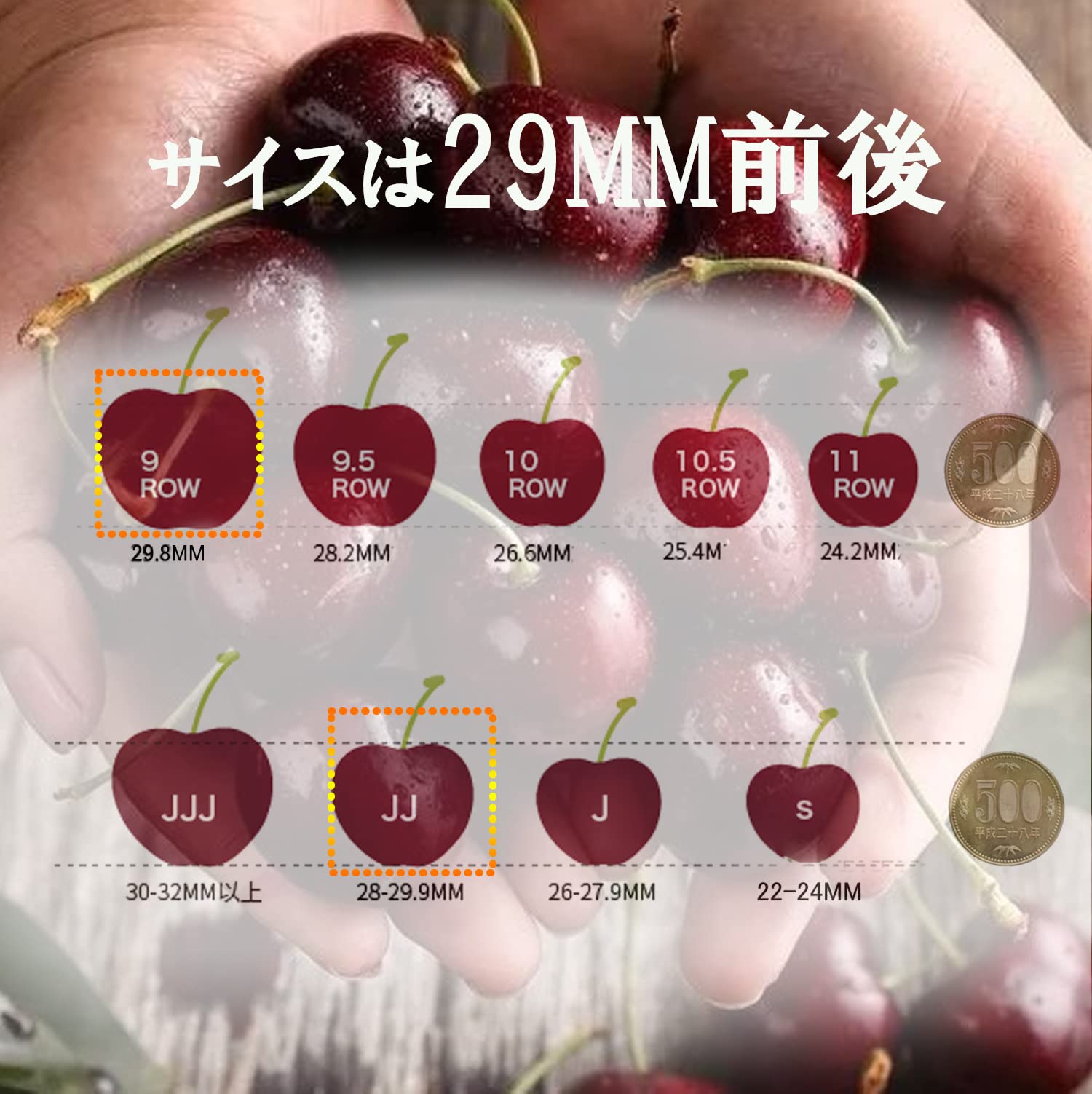 Amazon.co.jp: 超大粒果物 カナダ産チェリーさくらんぼ サクランボ 