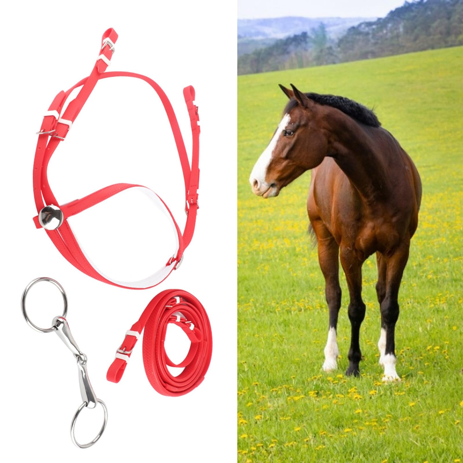 Redini Per Cavalli in PVC, Briglie Per Cavalli Riendas Para Caballos Redini Divise Rimovibili Redini da Concorso in Acciaio Inossidabile Filetto Cavo