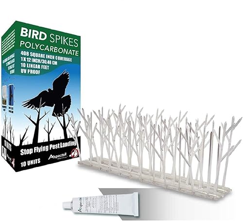 Aspectek Kit de púas de plástico de policarbonato para pájaros con pegamento adhesivo cubre 10 pies disponible en Yaxa Colombia