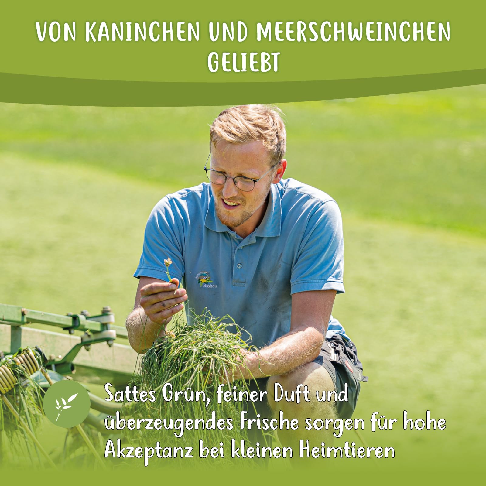 Samerberger Wiesenheu 4 kg – staubarmes, luftgetrocknetes Heu für Kaninchen & Meerschweinchen – regionale Gräser- und Blütenmischung aus Bayern – handverpackt & ohne chemische Zusätze (3)