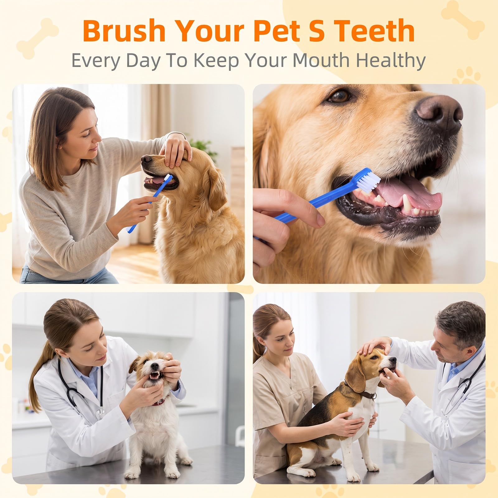 Lot de 200 brosses à dents pour chien à double tête